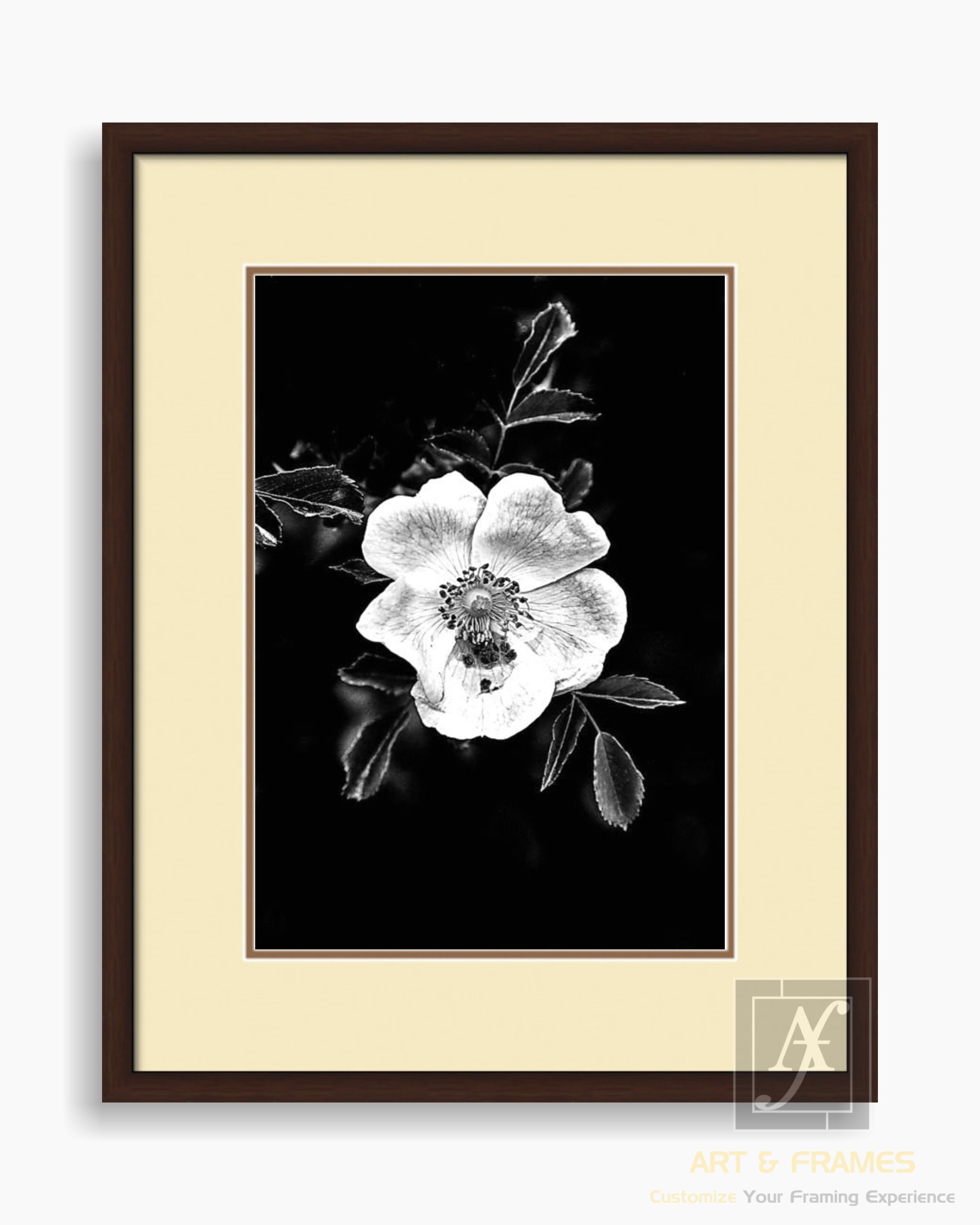 FLORAL ART WITH FRAME & DOUBLE MOUNT (13)