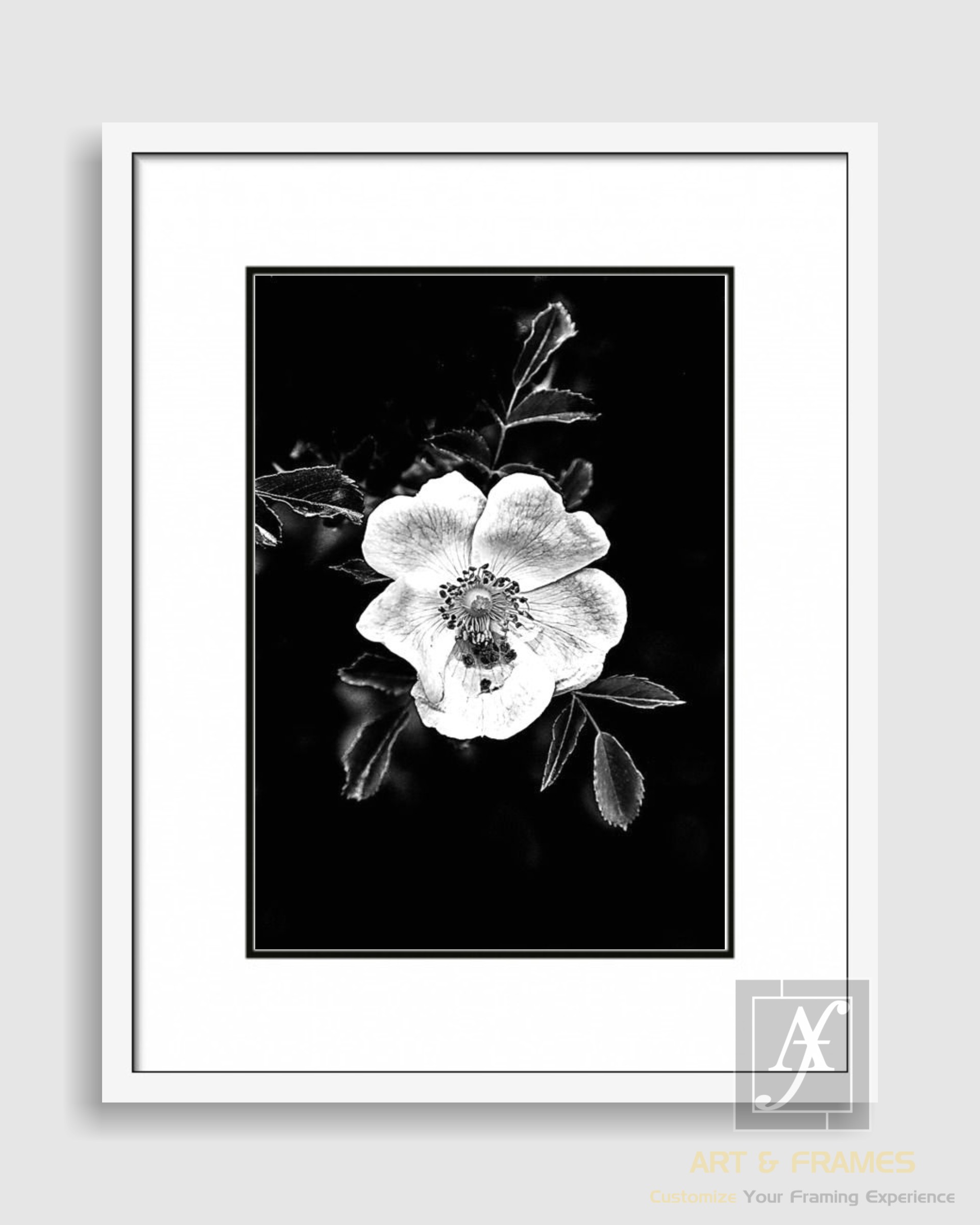 FLORAL ART WITH FRAME & DOUBLE MOUNT (13)
