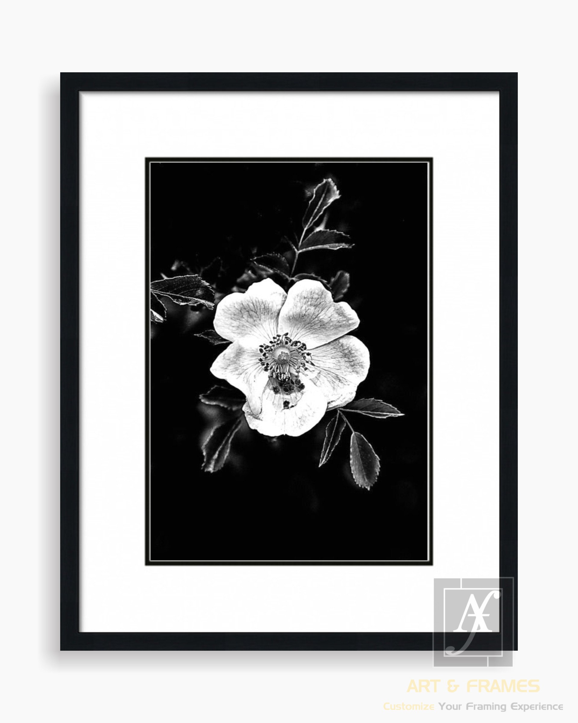 FLORAL ART WITH FRAME & DOUBLE MOUNT (13)