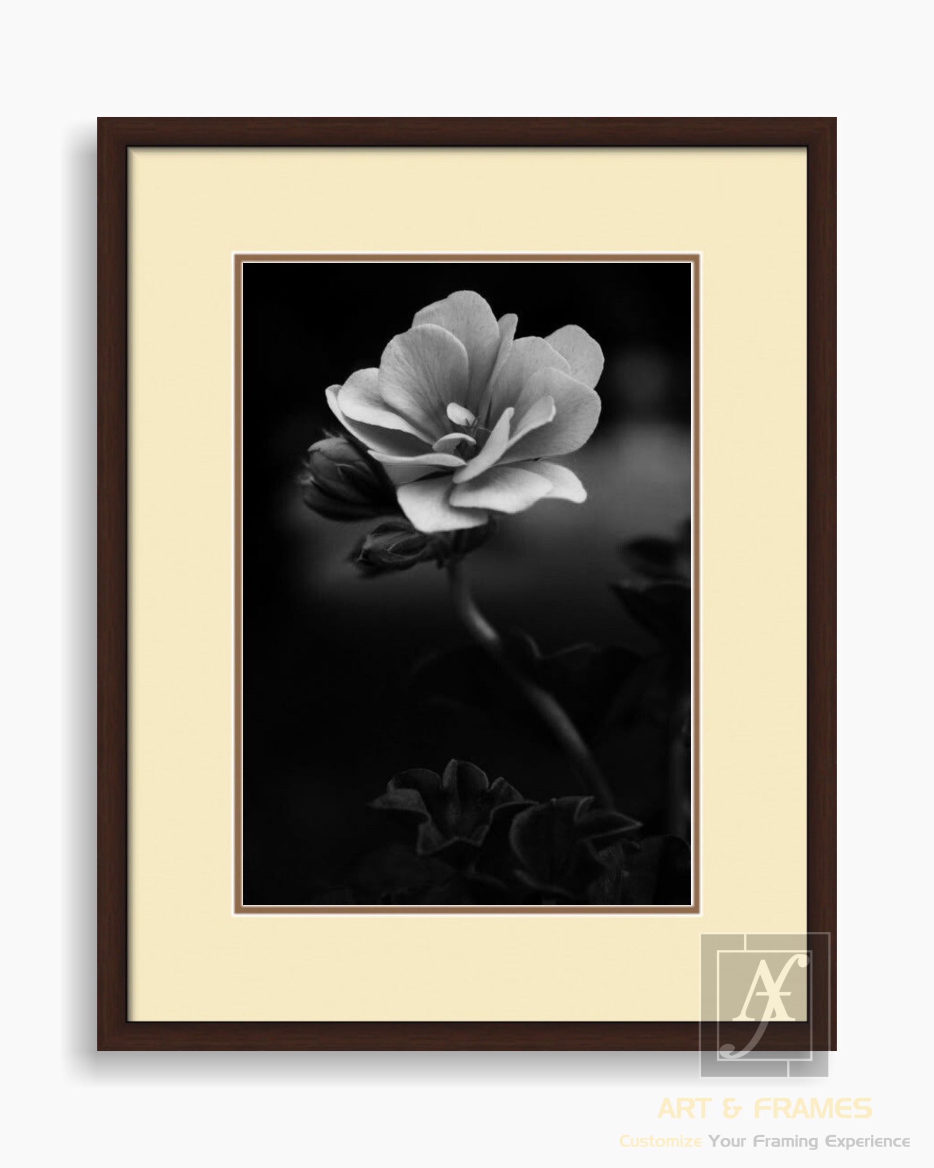 FLORAL ART WITH FRAME & DOUBLE MOUNT (15)
