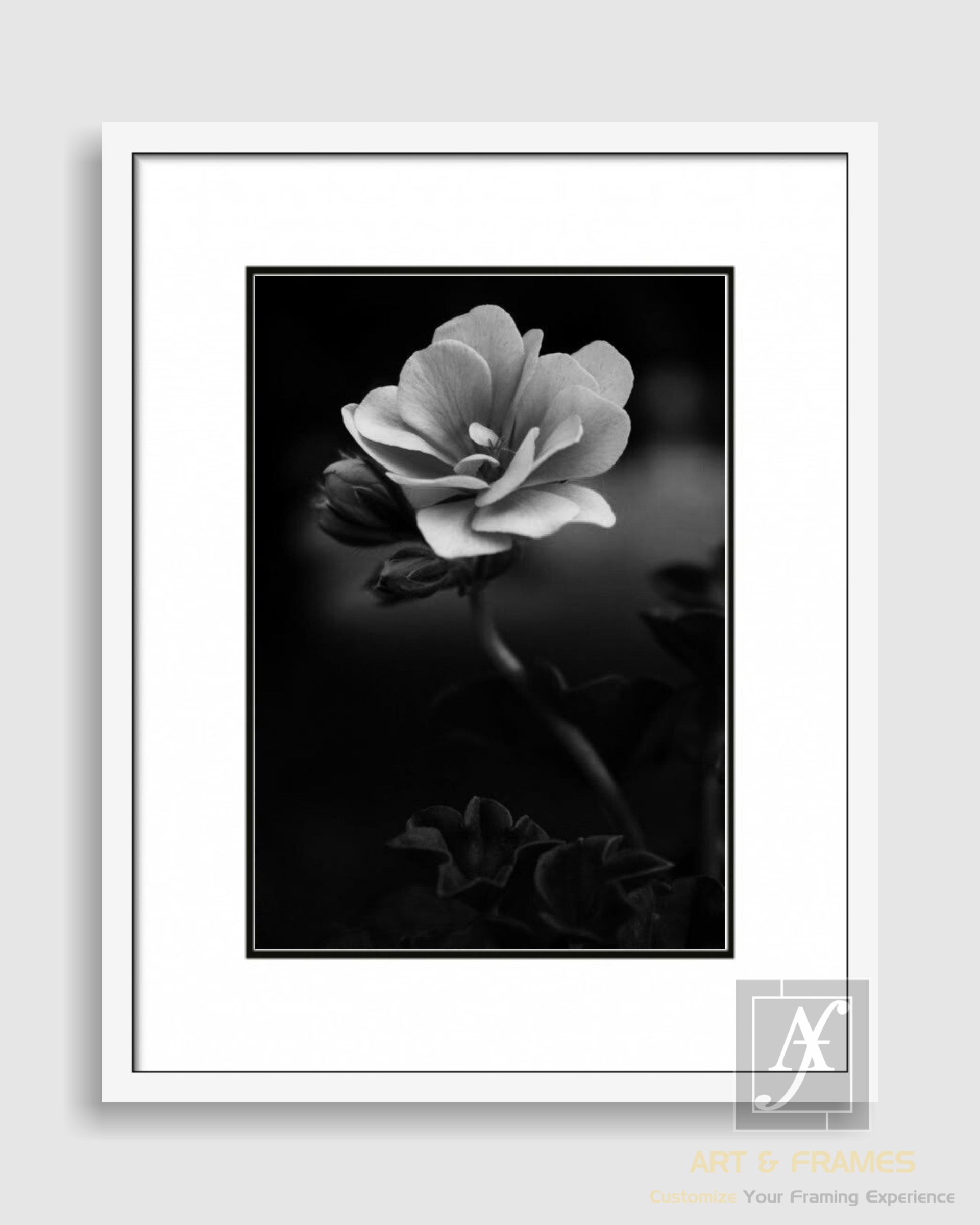 FLORAL ART WITH FRAME & DOUBLE MOUNT (15)