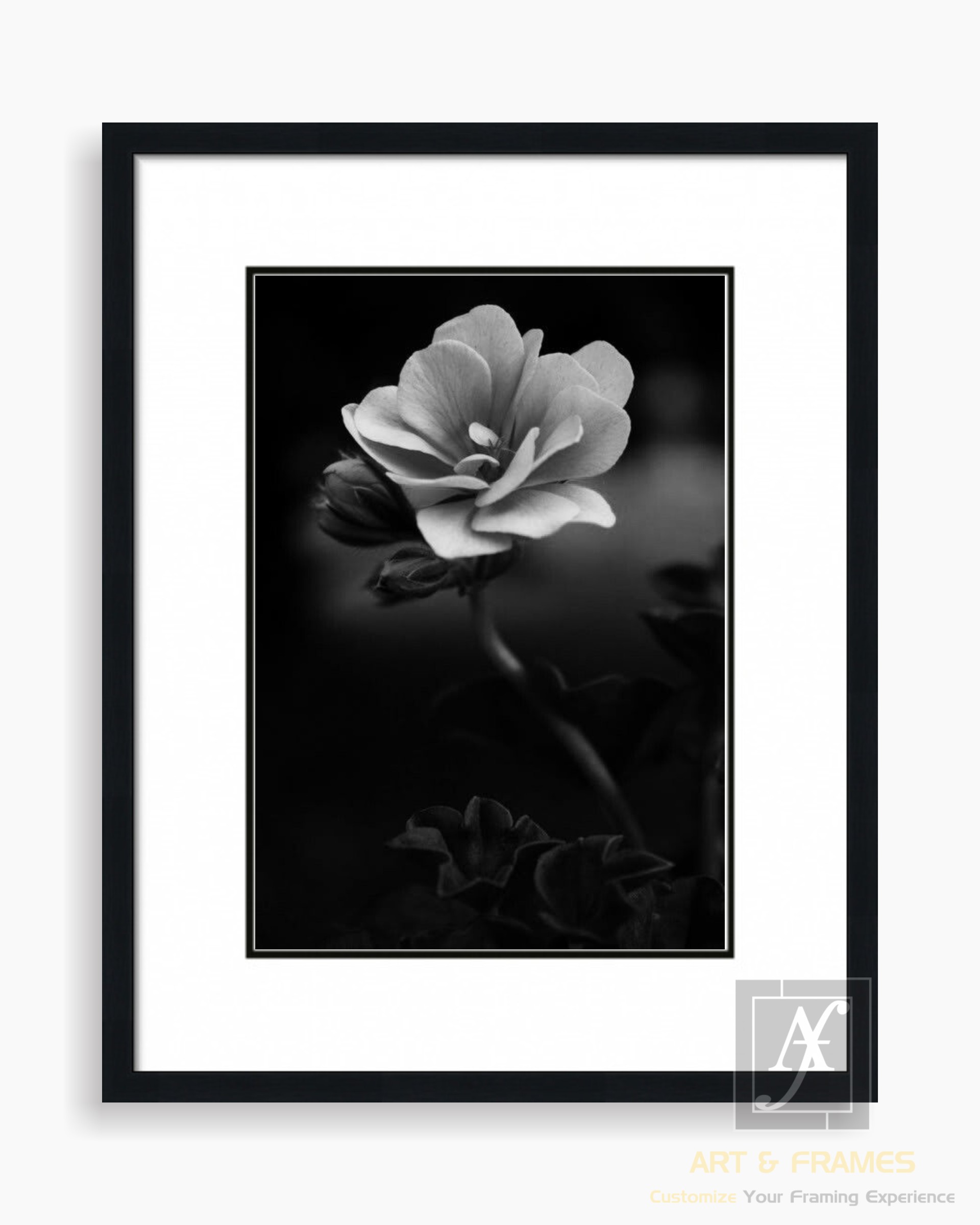 FLORAL ART WITH FRAME & DOUBLE MOUNT (15)
