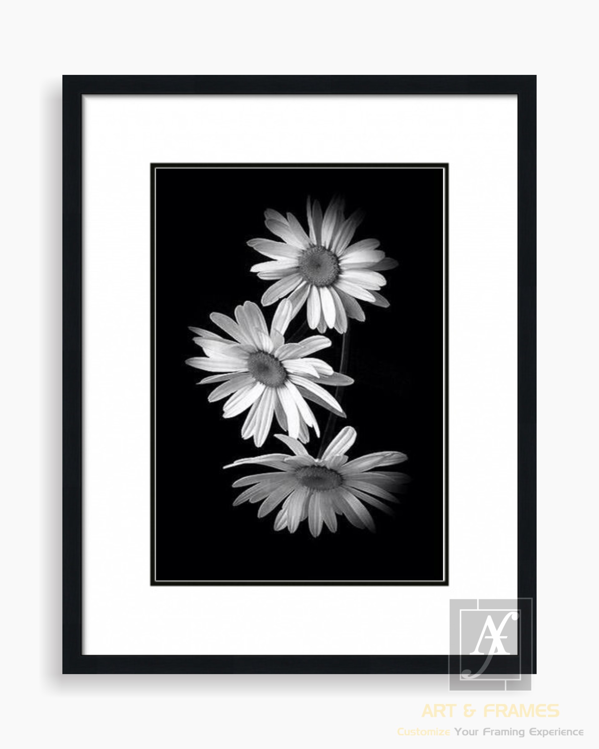 FLORAL ART WITH FRAME & DOUBLE MOUNT (20)