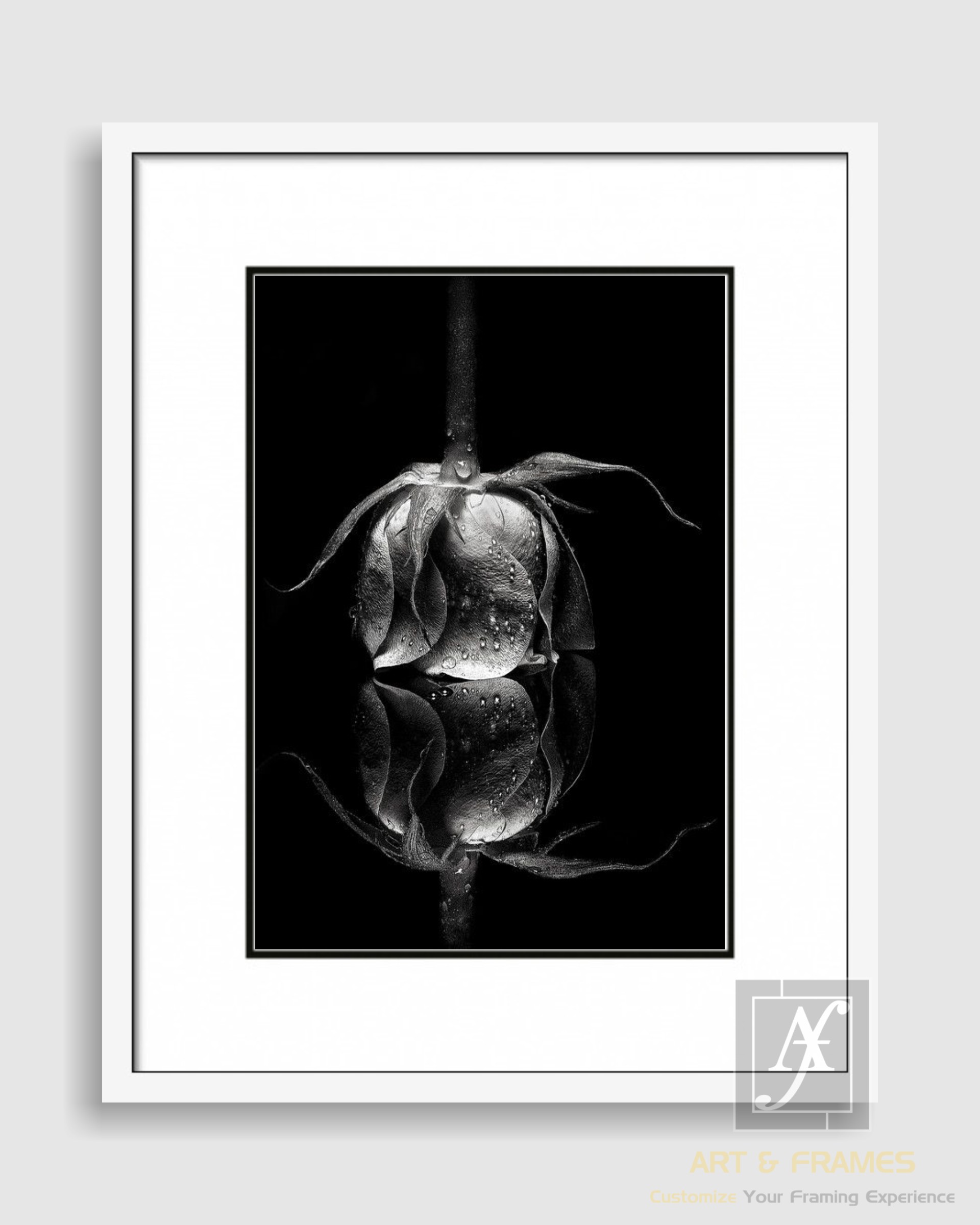 FLORAL ART WITH FRAME & DOUBLE MOUNT (4)