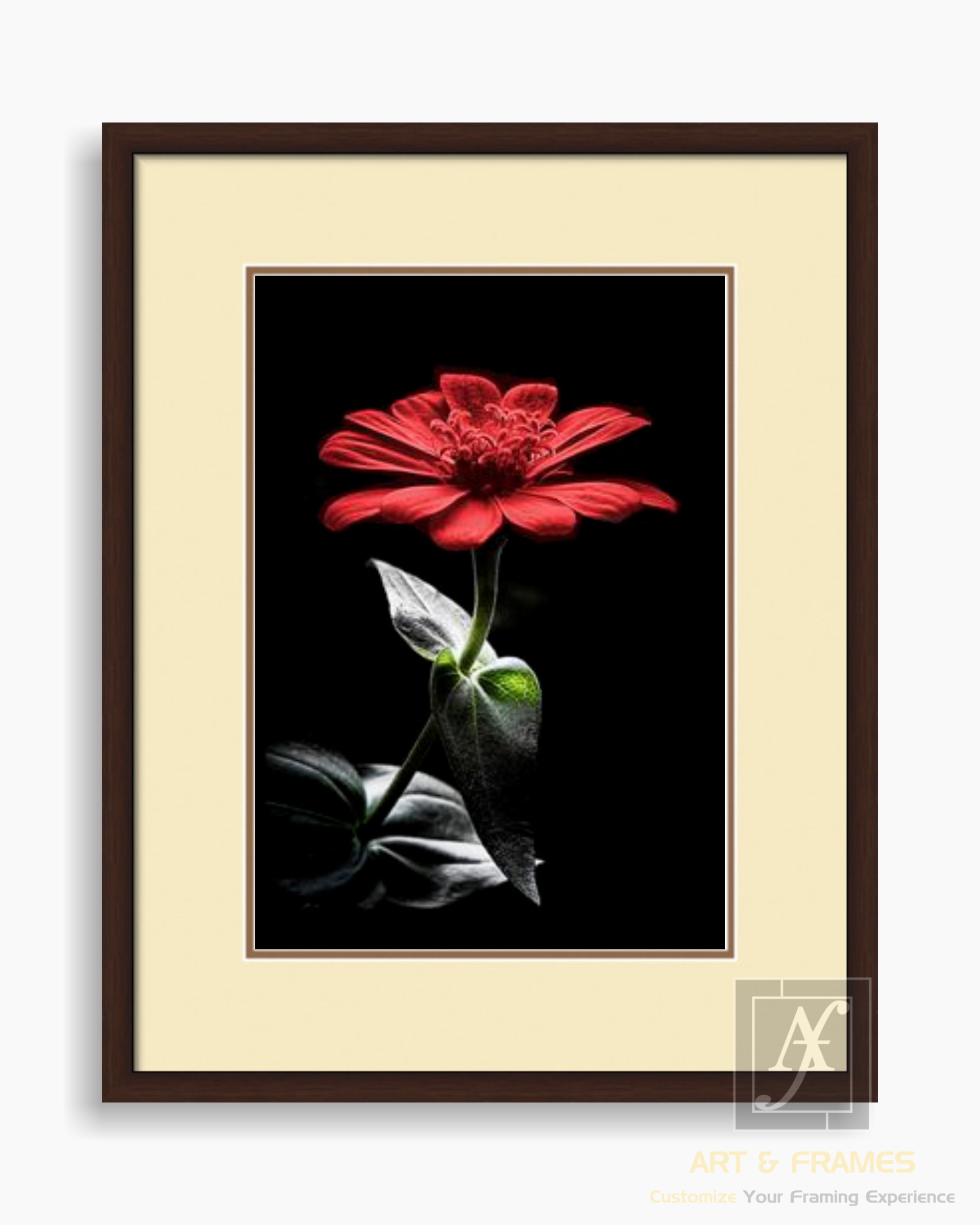 FLORAL ART WITH FRAME & DOUBLE MOUNT (6)