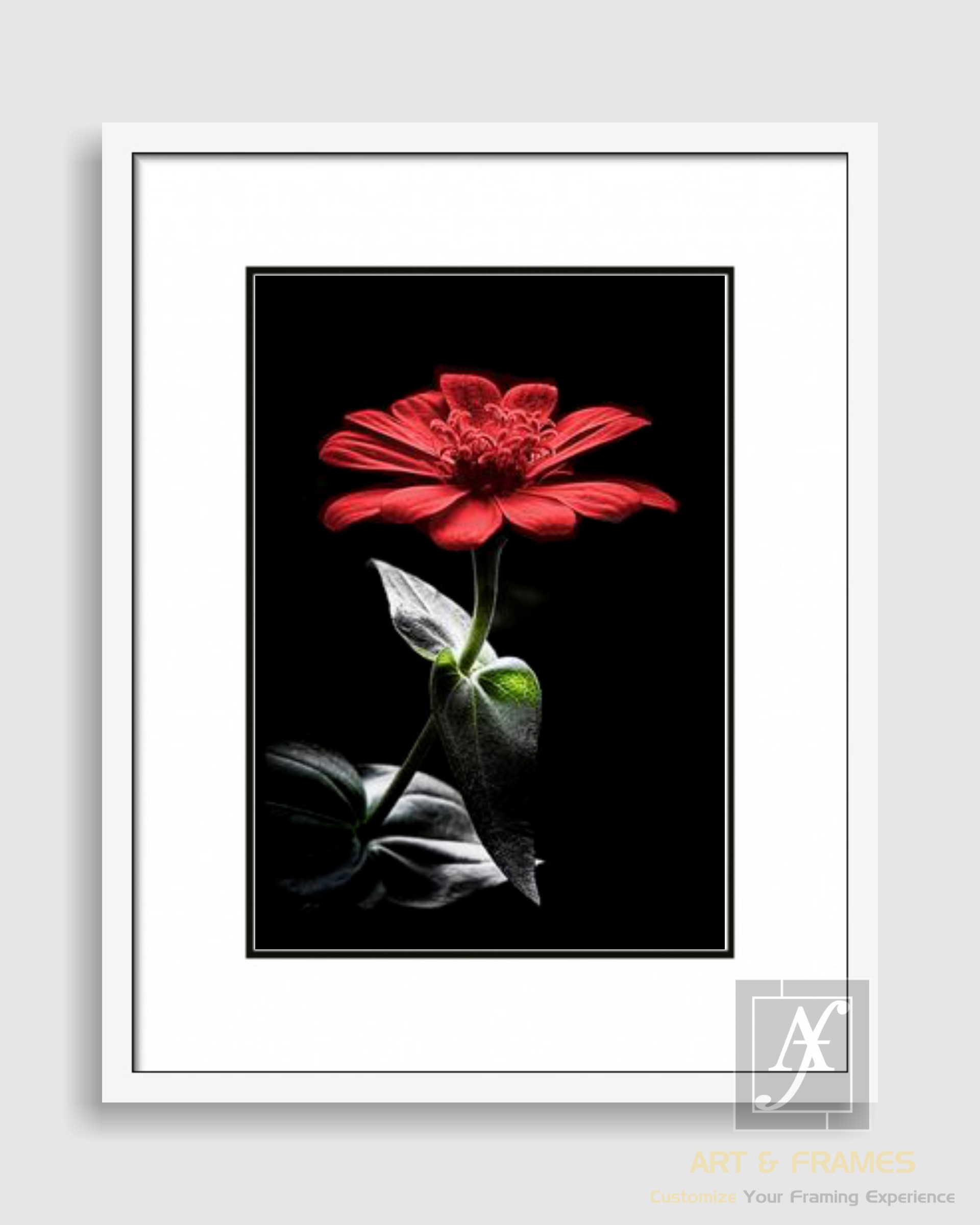 FLORAL ART WITH FRAME & DOUBLE MOUNT (6)