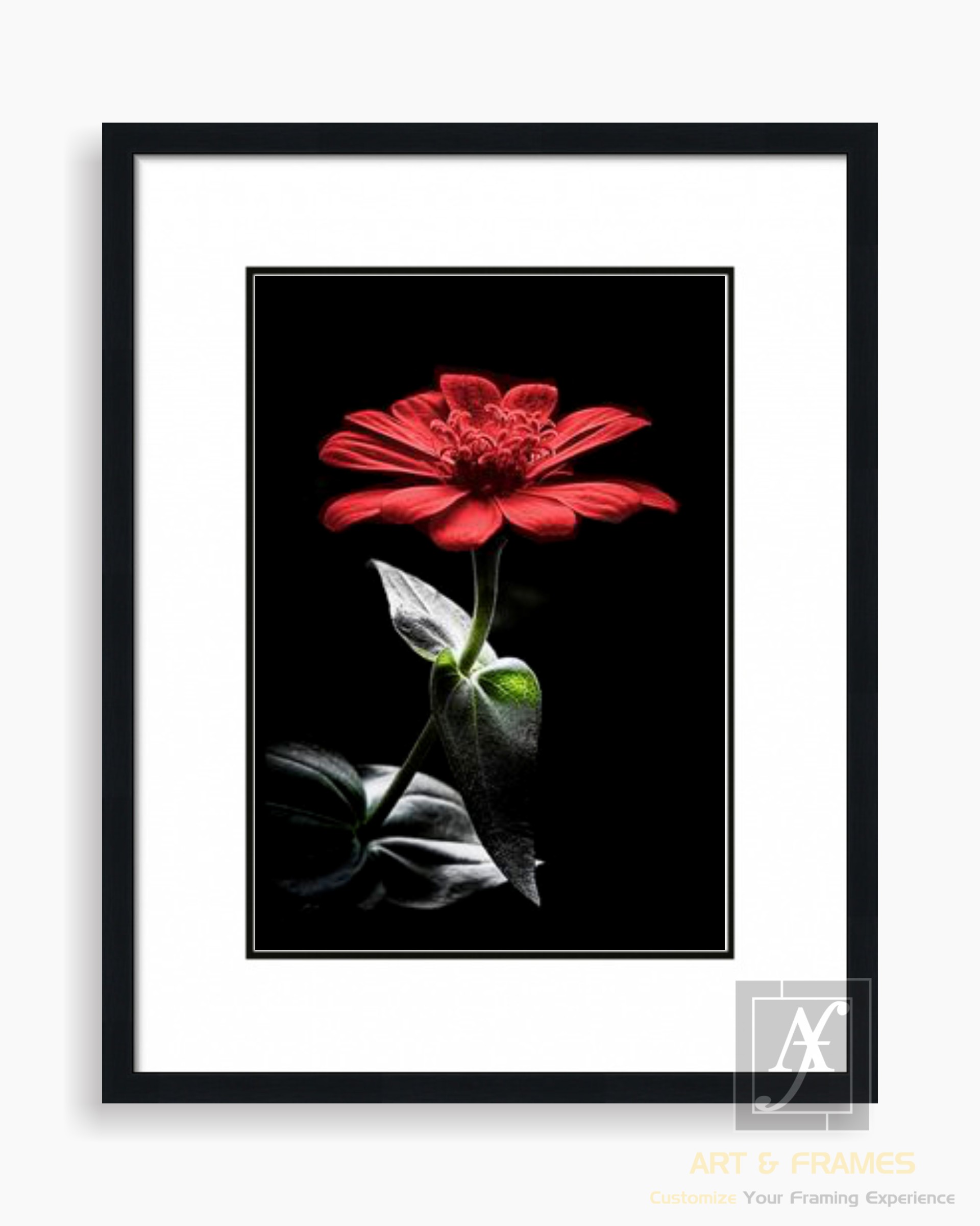 FLORAL ART WITH FRAME & DOUBLE MOUNT (6)
