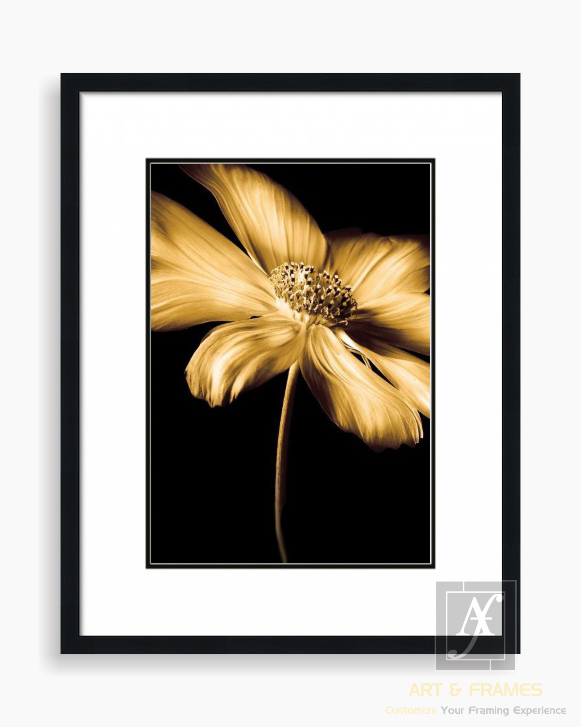 FLORAL ART WITH FRAME & DOUBLE MOUNT (8)