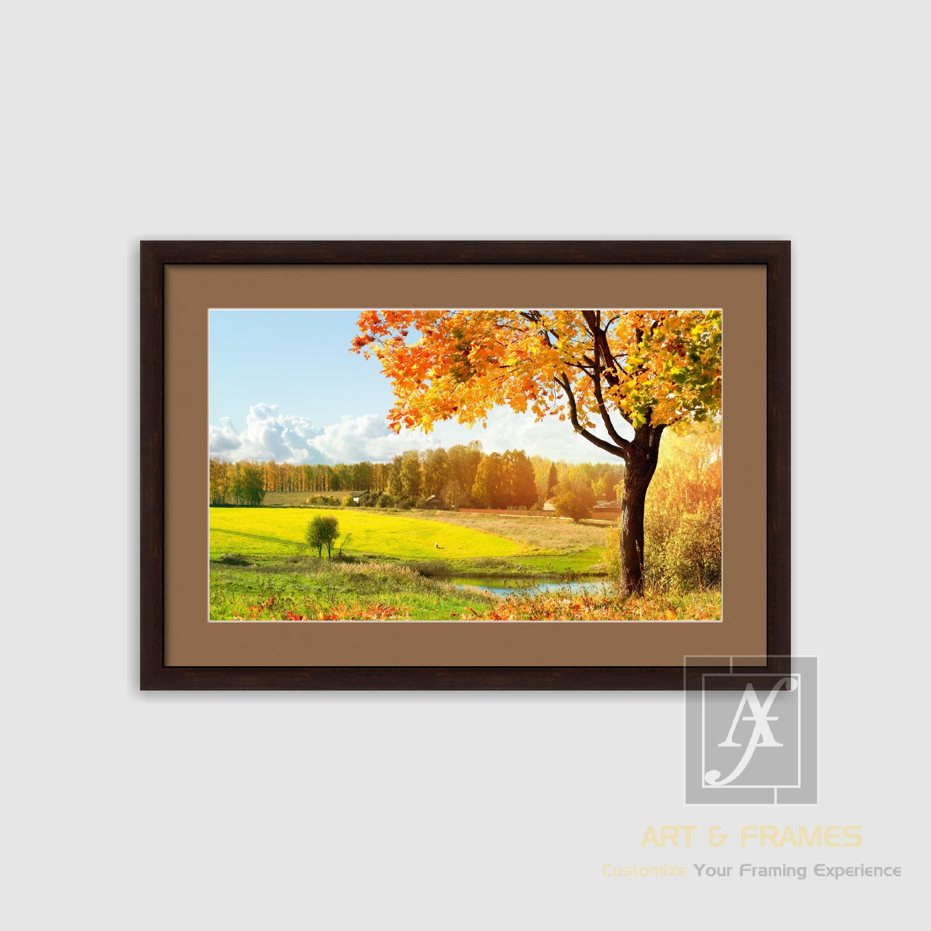 NATURE - AUTUMN SEASON COLLECTION (1)