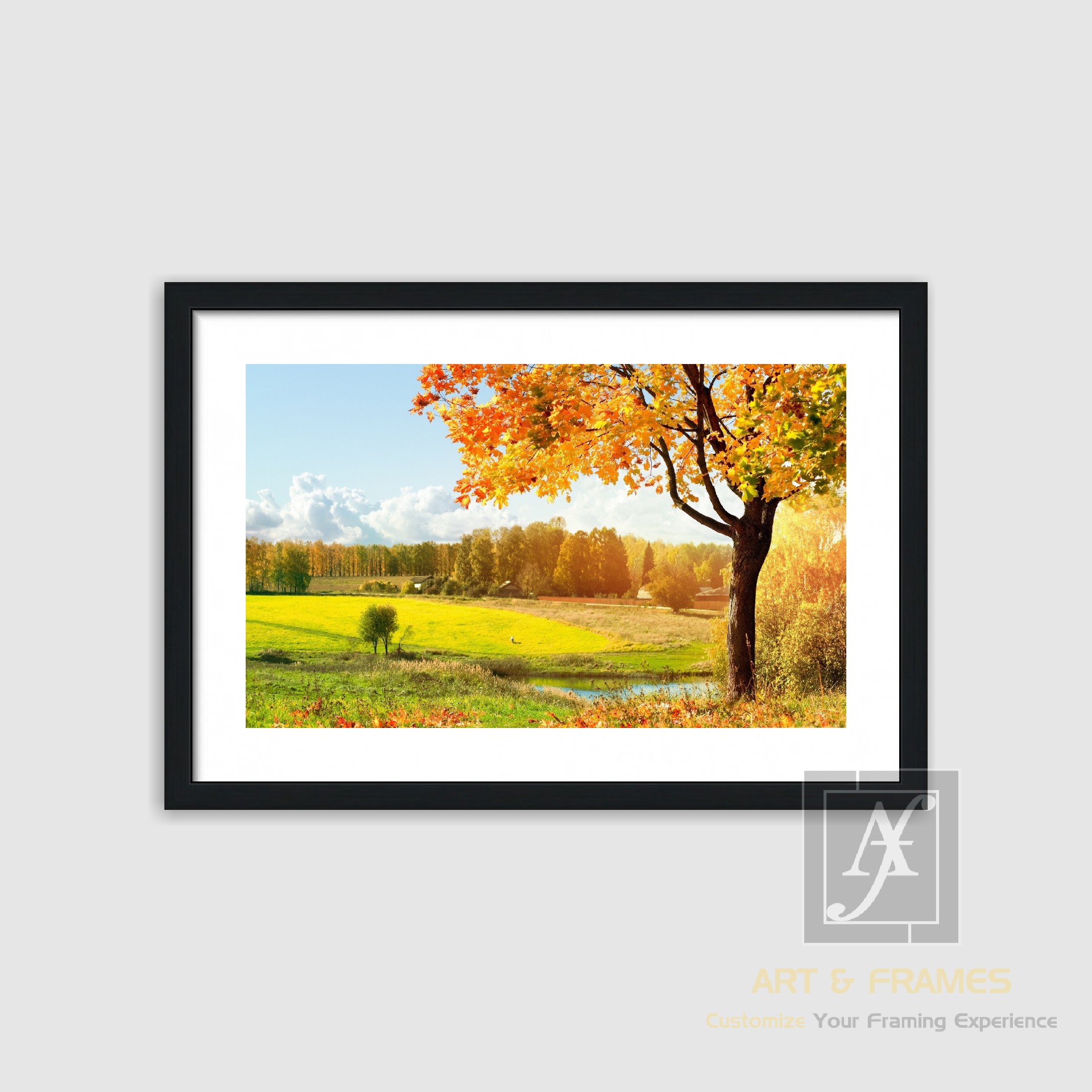 NATURE - AUTUMN SEASON COLLECTION (1)