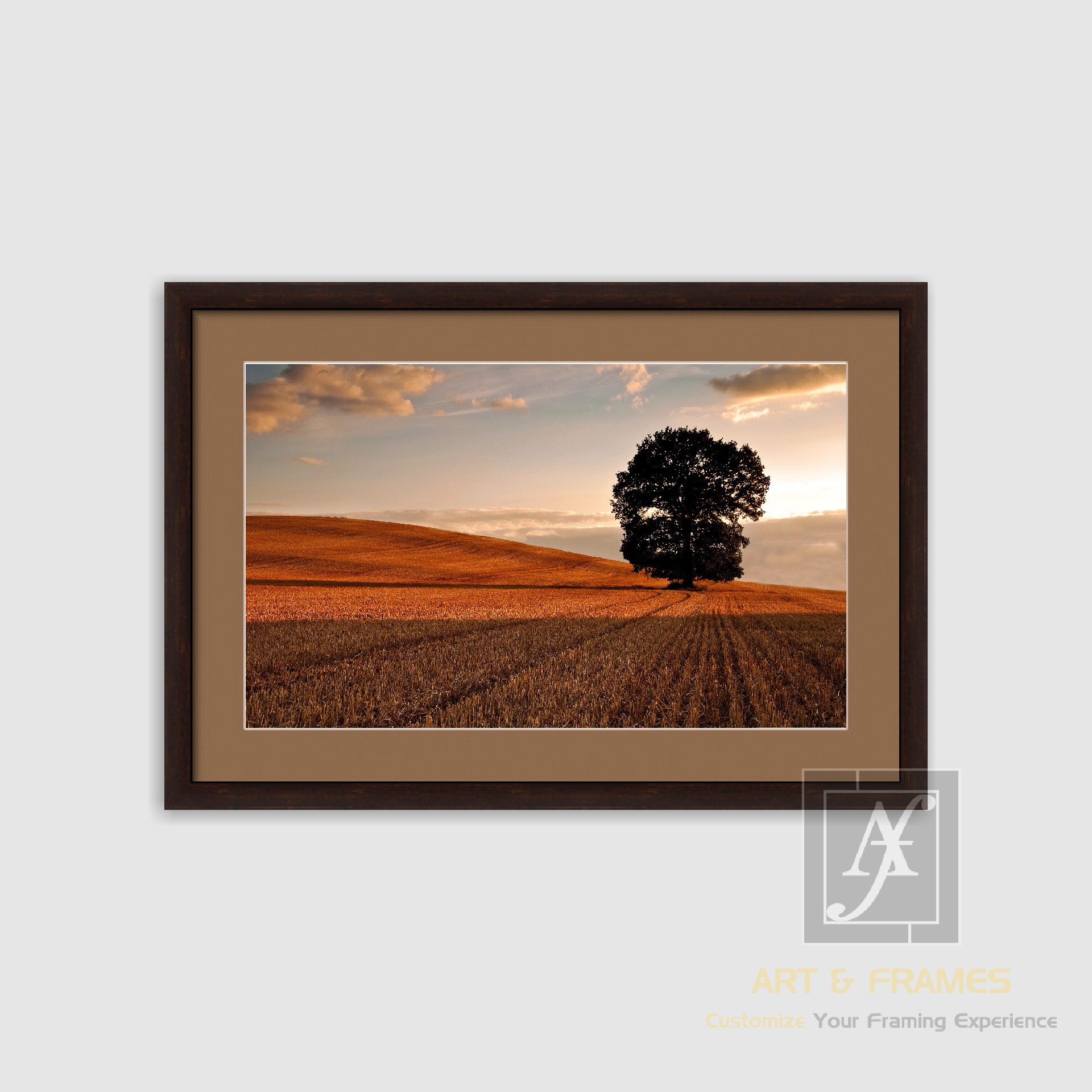 NATURE - AUTUMN SEASON COLLECTION (18)