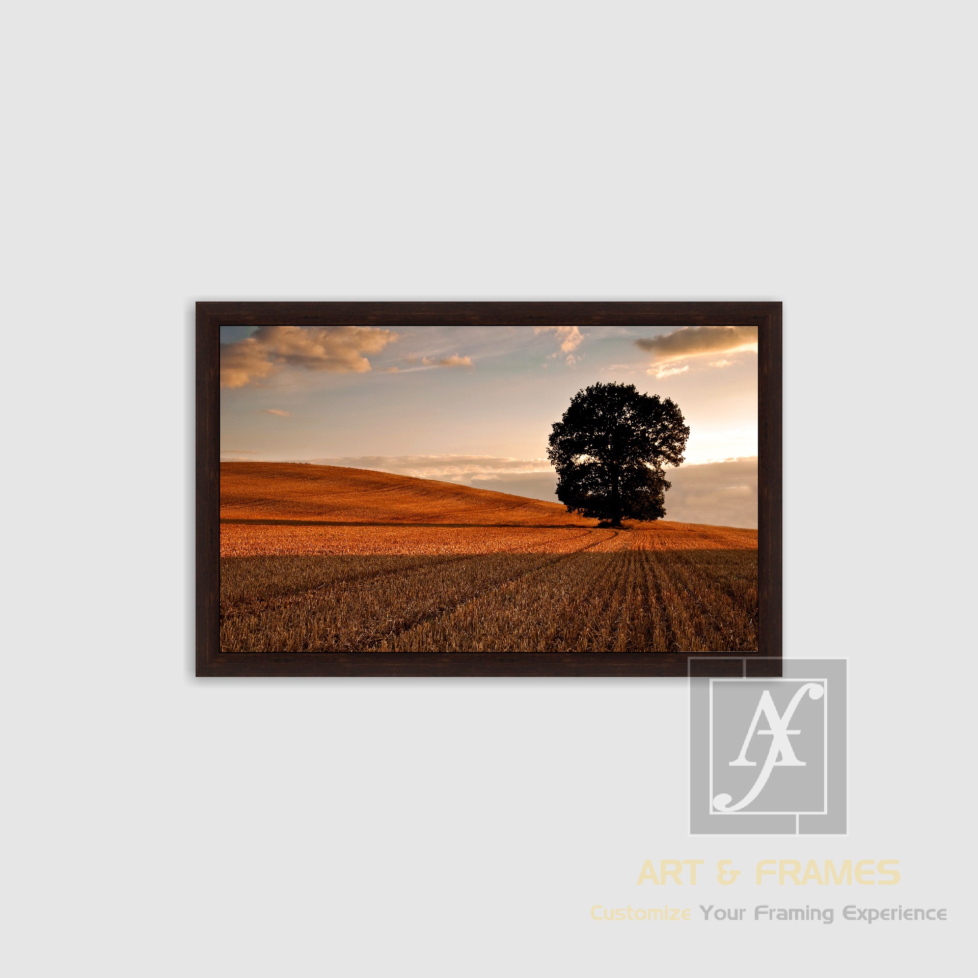 NATURE - AUTUMN SEASON COLLECTION (18)