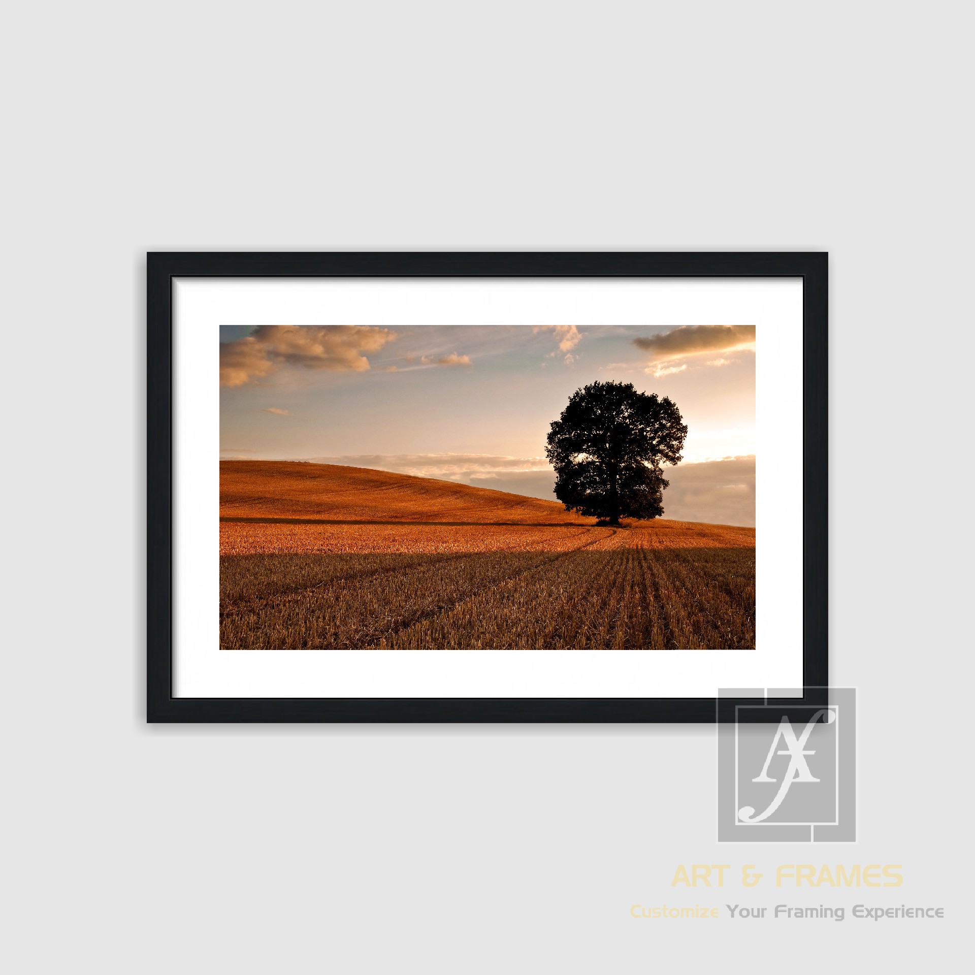 NATURE - AUTUMN SEASON COLLECTION (18)