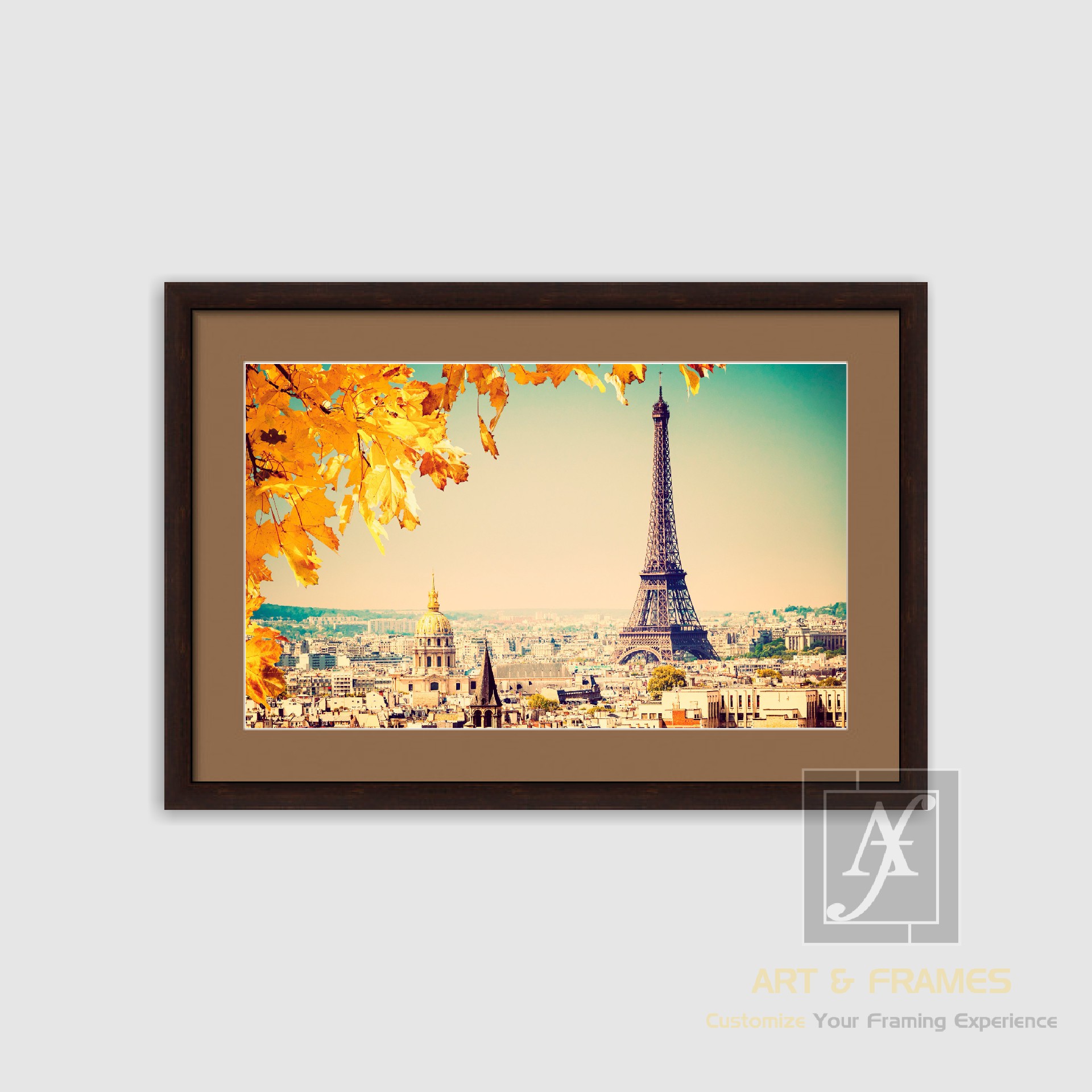 NATURE - AUTUMN SEASON COLLECTION (19)