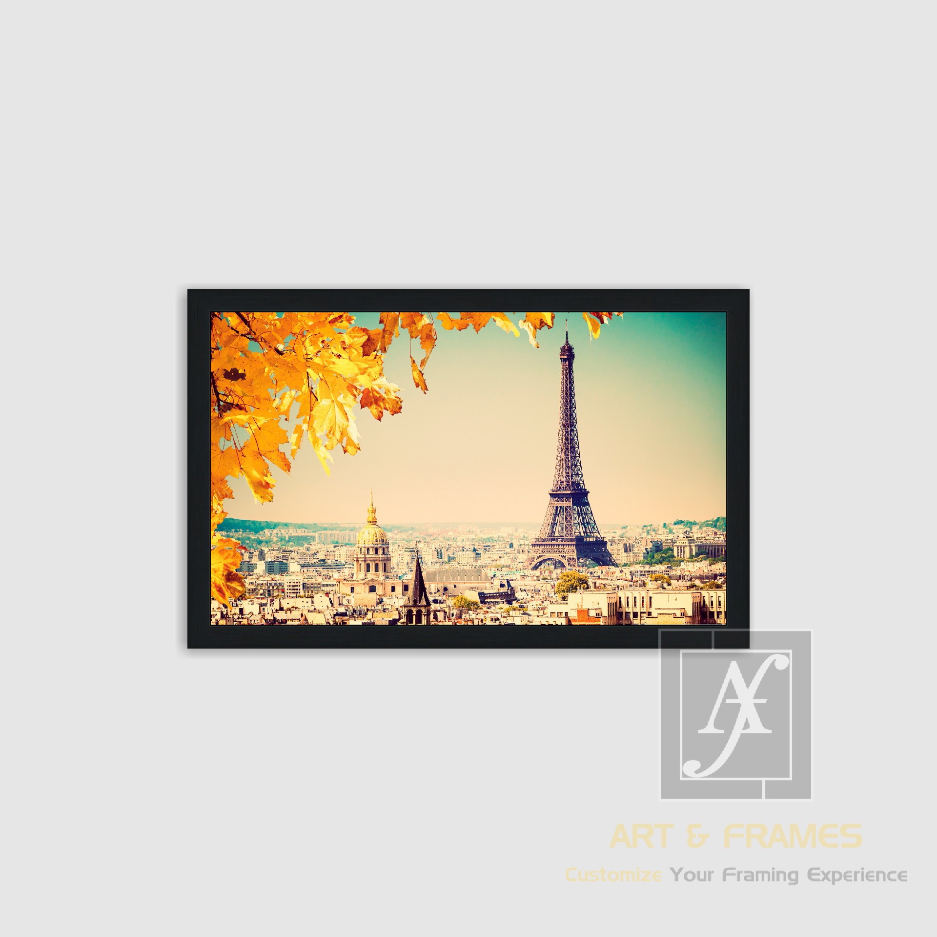 NATURE - AUTUMN SEASON COLLECTION (19)