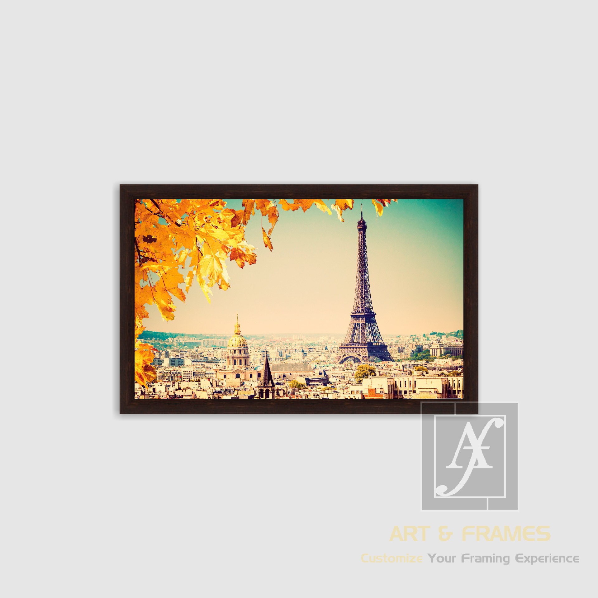 NATURE - AUTUMN SEASON COLLECTION (19)