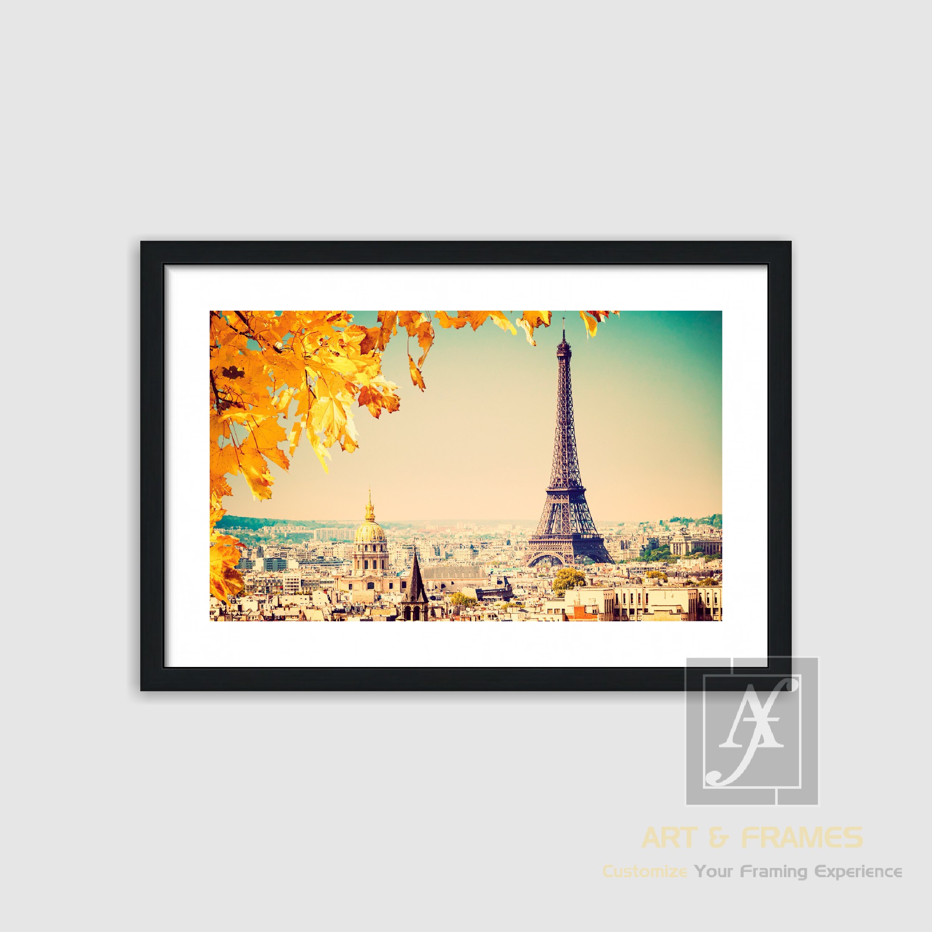 NATURE - AUTUMN SEASON COLLECTION (19)