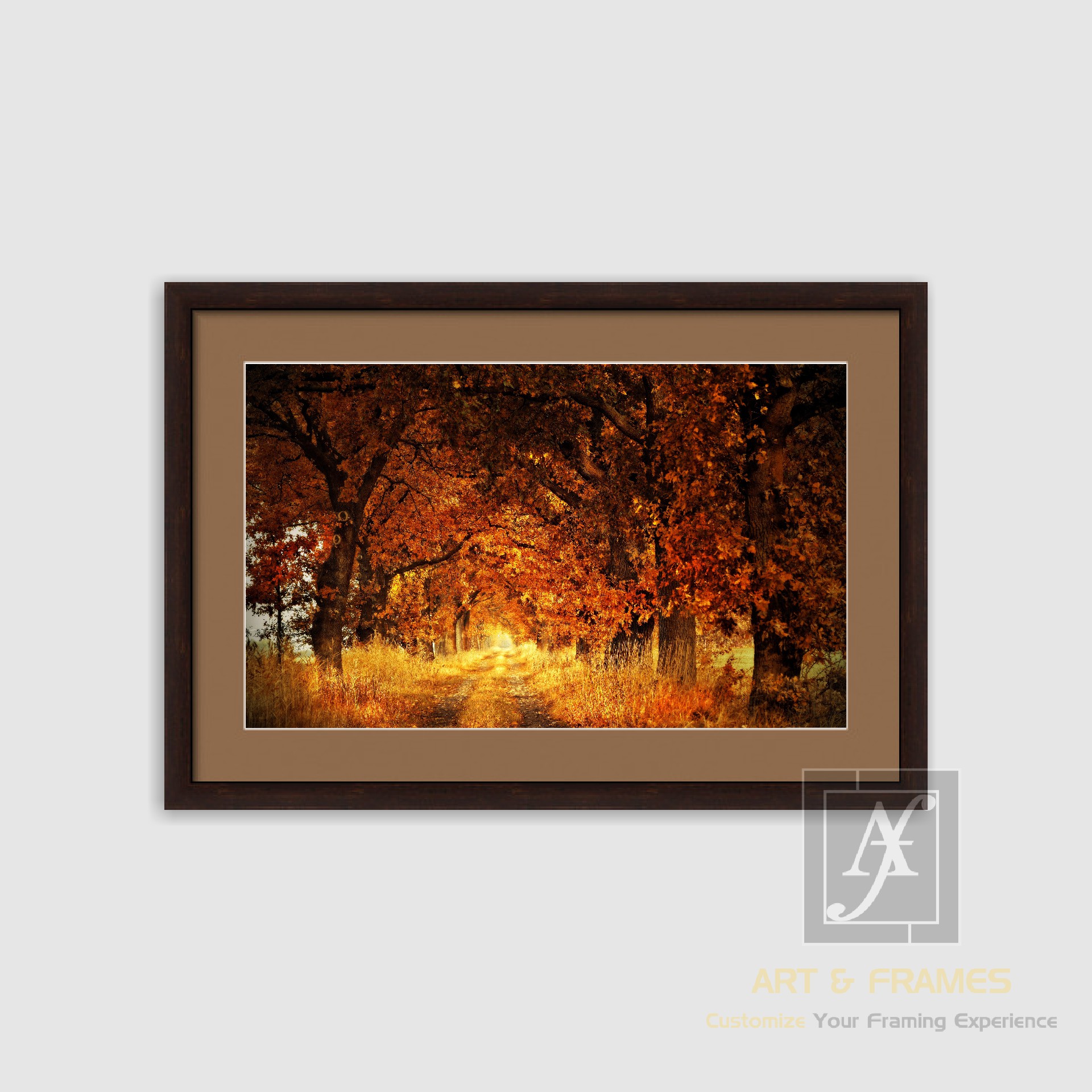 NATURE - AUTUMN SEASON COLLECTION (22)