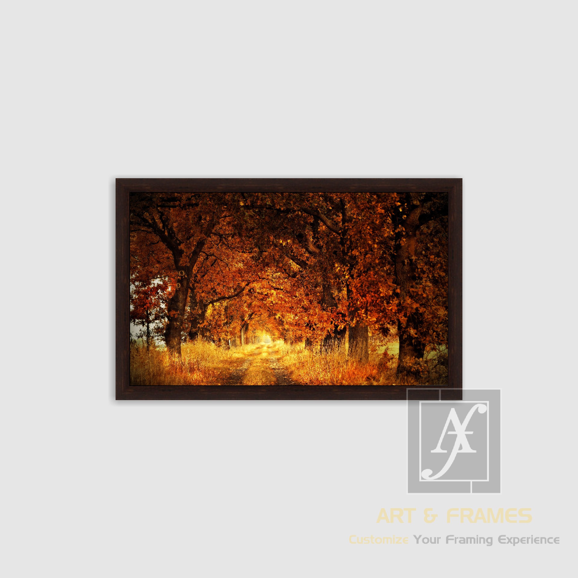 NATURE - AUTUMN SEASON COLLECTION (22)