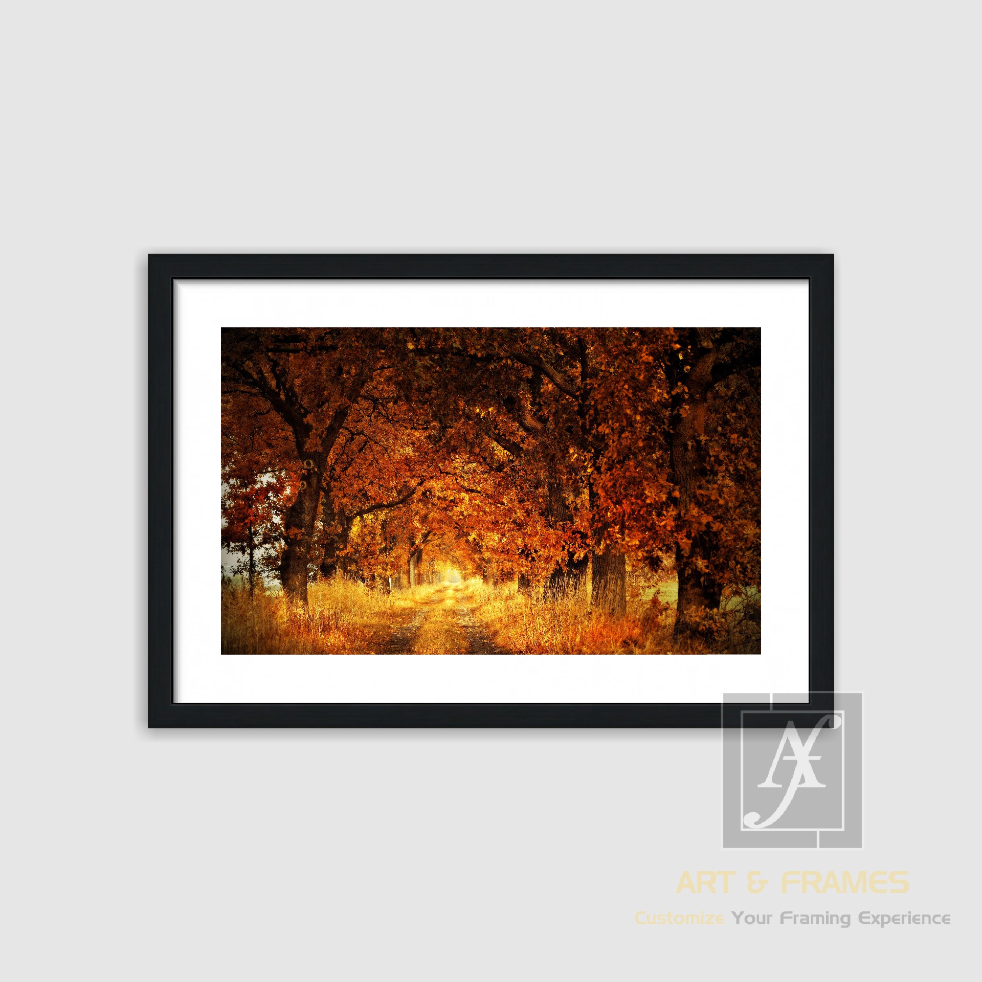 NATURE - AUTUMN SEASON COLLECTION (22)