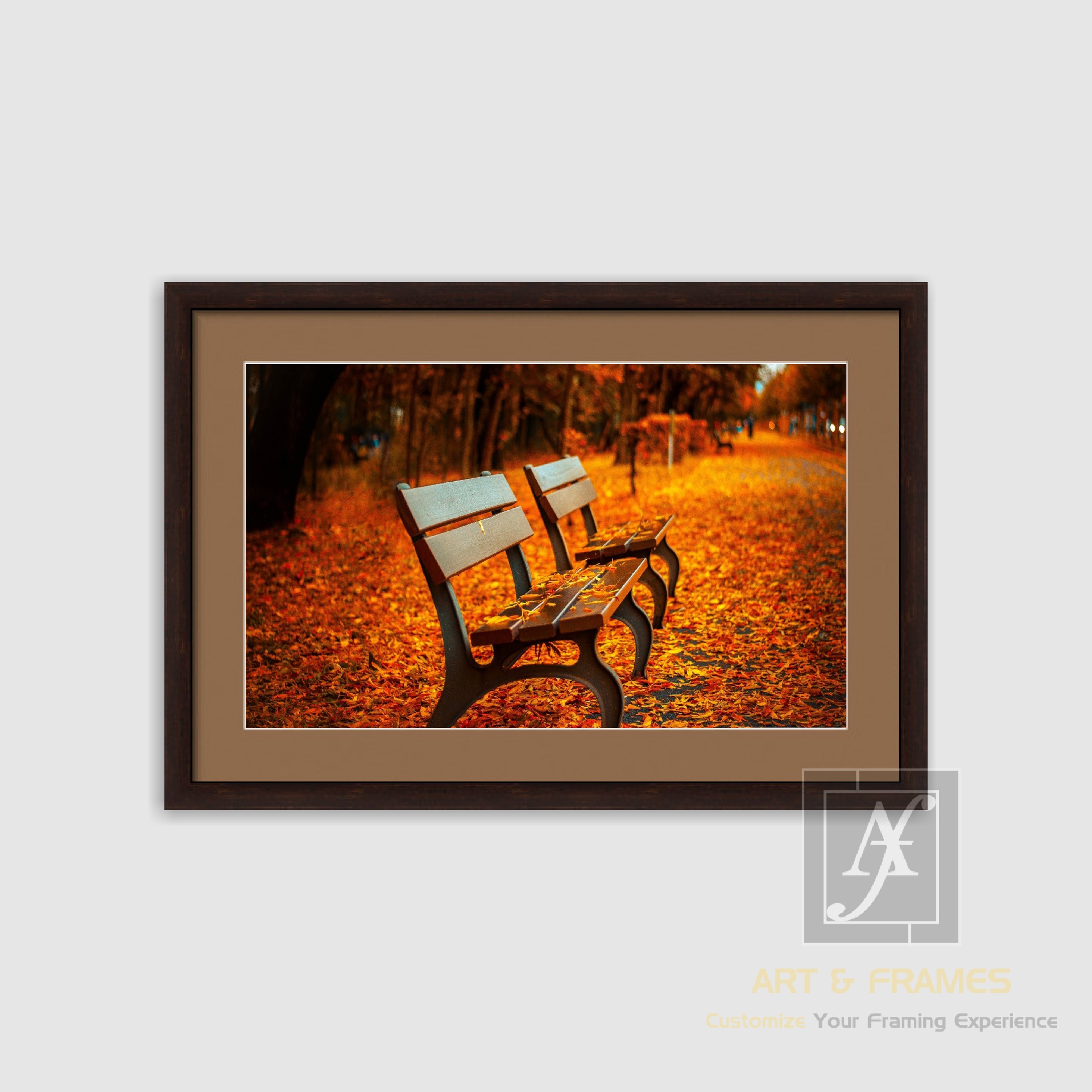 NATURE - AUTUMN SEASON COLLECTION (5)