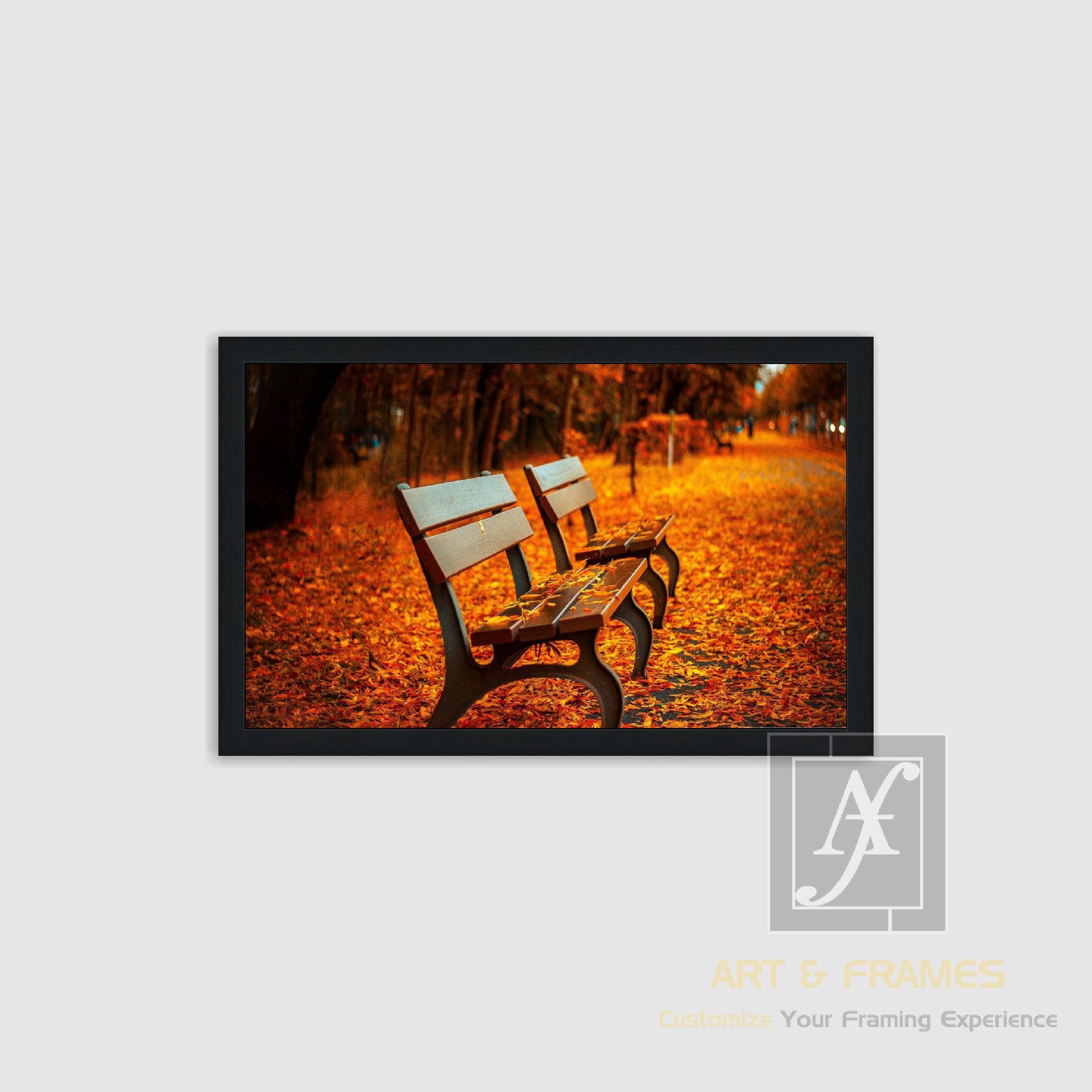 NATURE - AUTUMN SEASON COLLECTION (5)