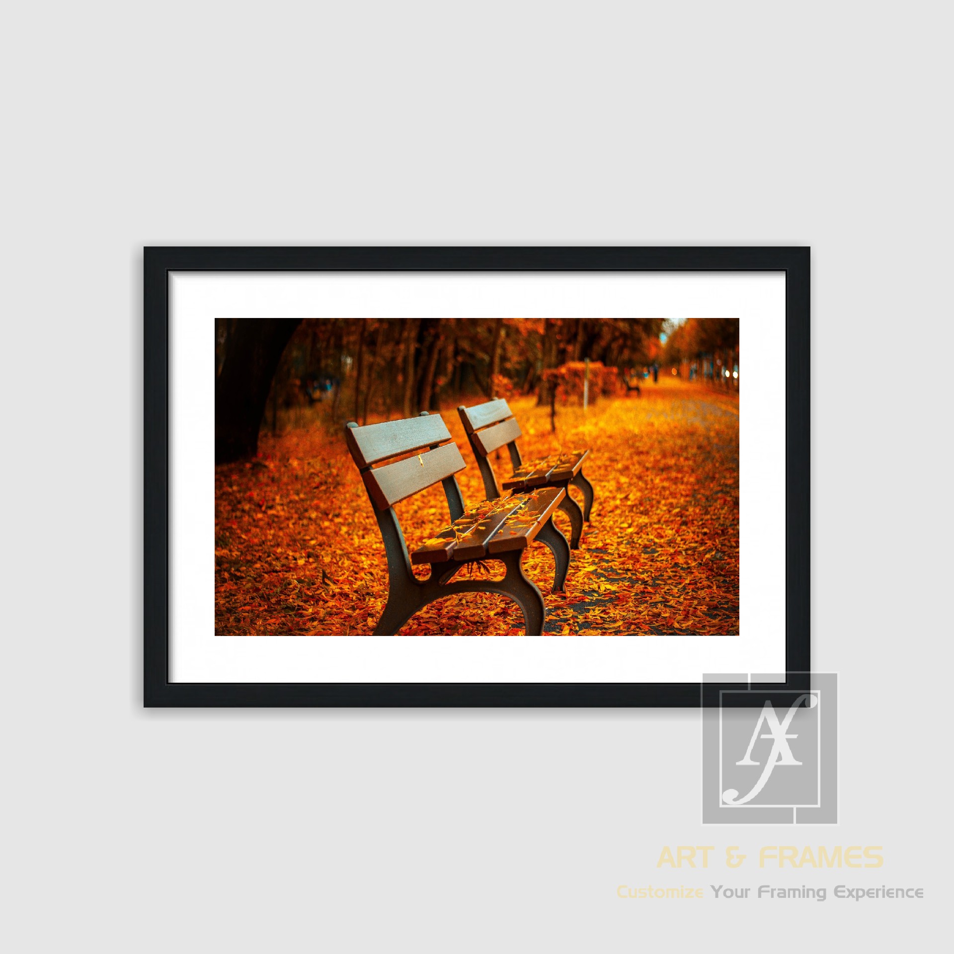 NATURE - AUTUMN SEASON COLLECTION (5)