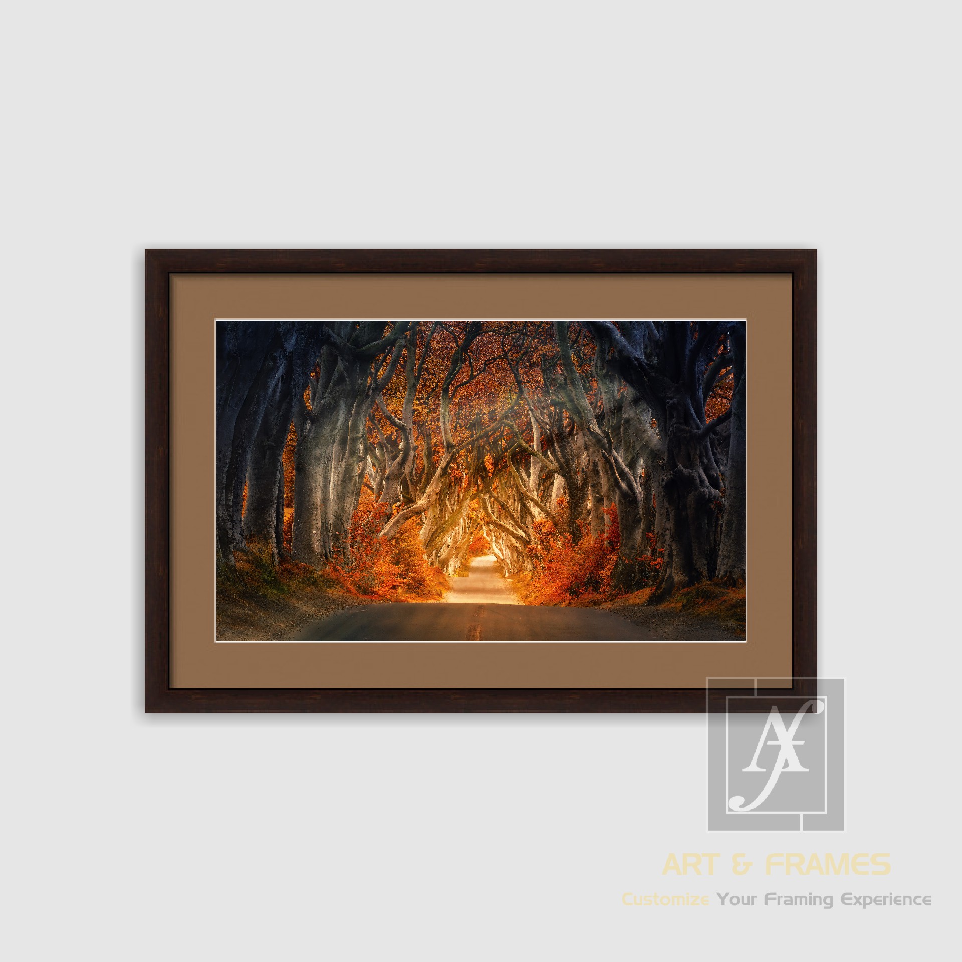 NATURE - AUTUMN SEASON COLLECTION (6)