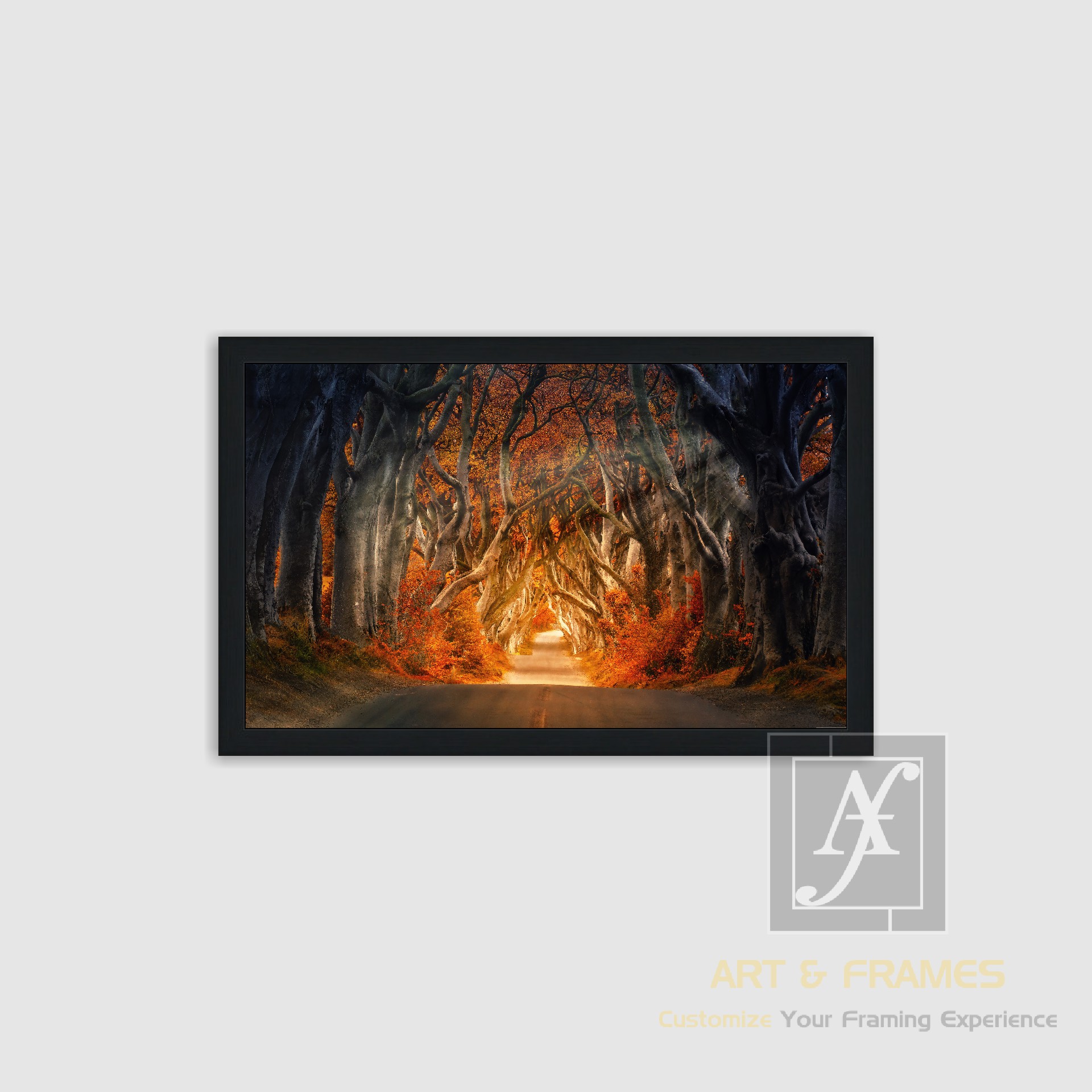 NATURE - AUTUMN SEASON COLLECTION (6)