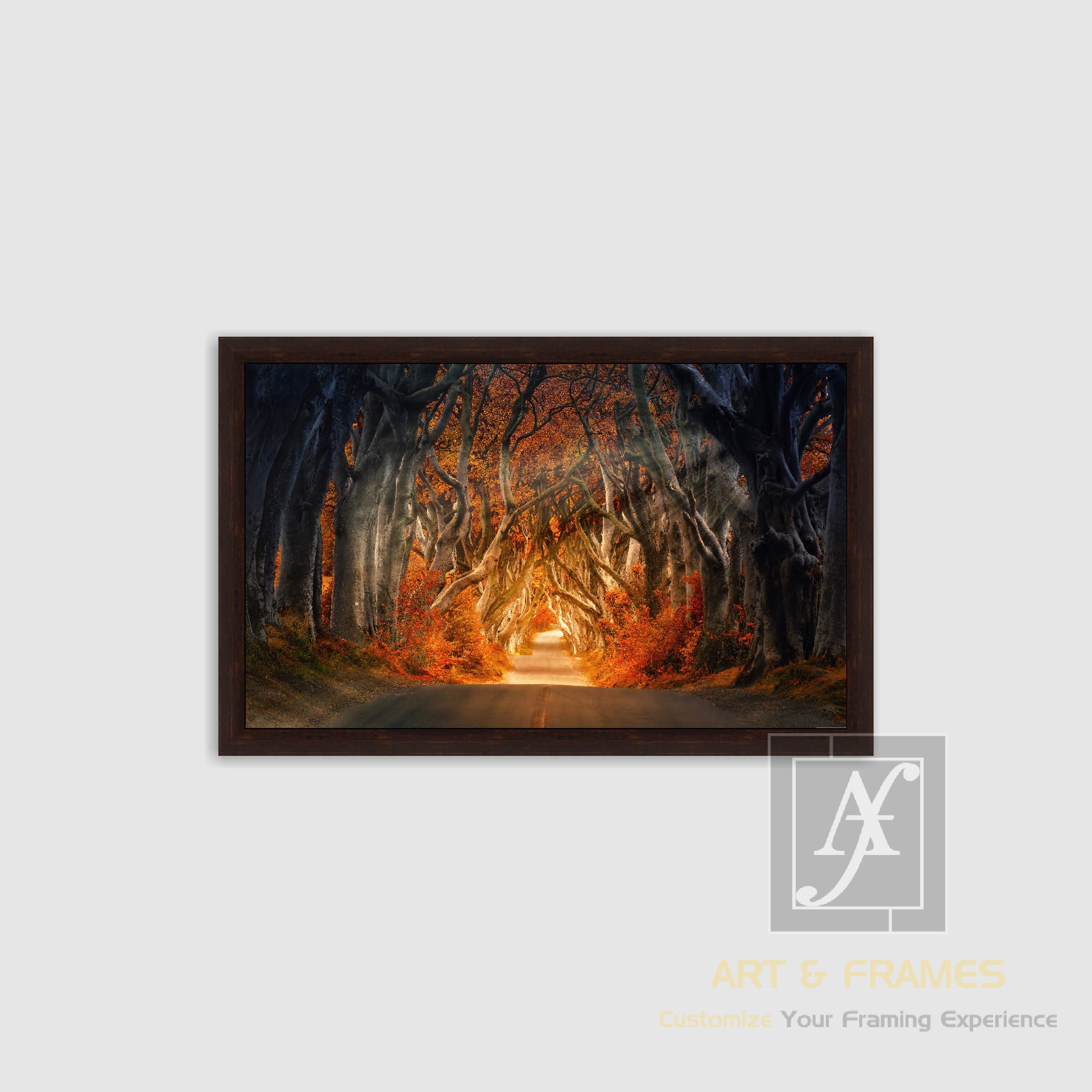 NATURE - AUTUMN SEASON COLLECTION (6)