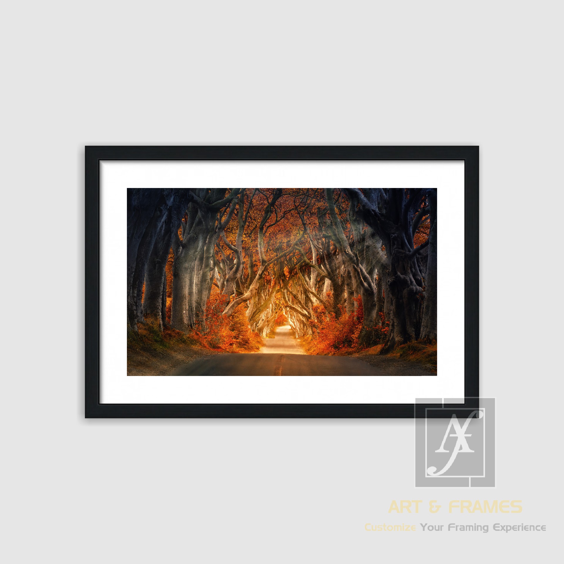 NATURE - AUTUMN SEASON COLLECTION (6)