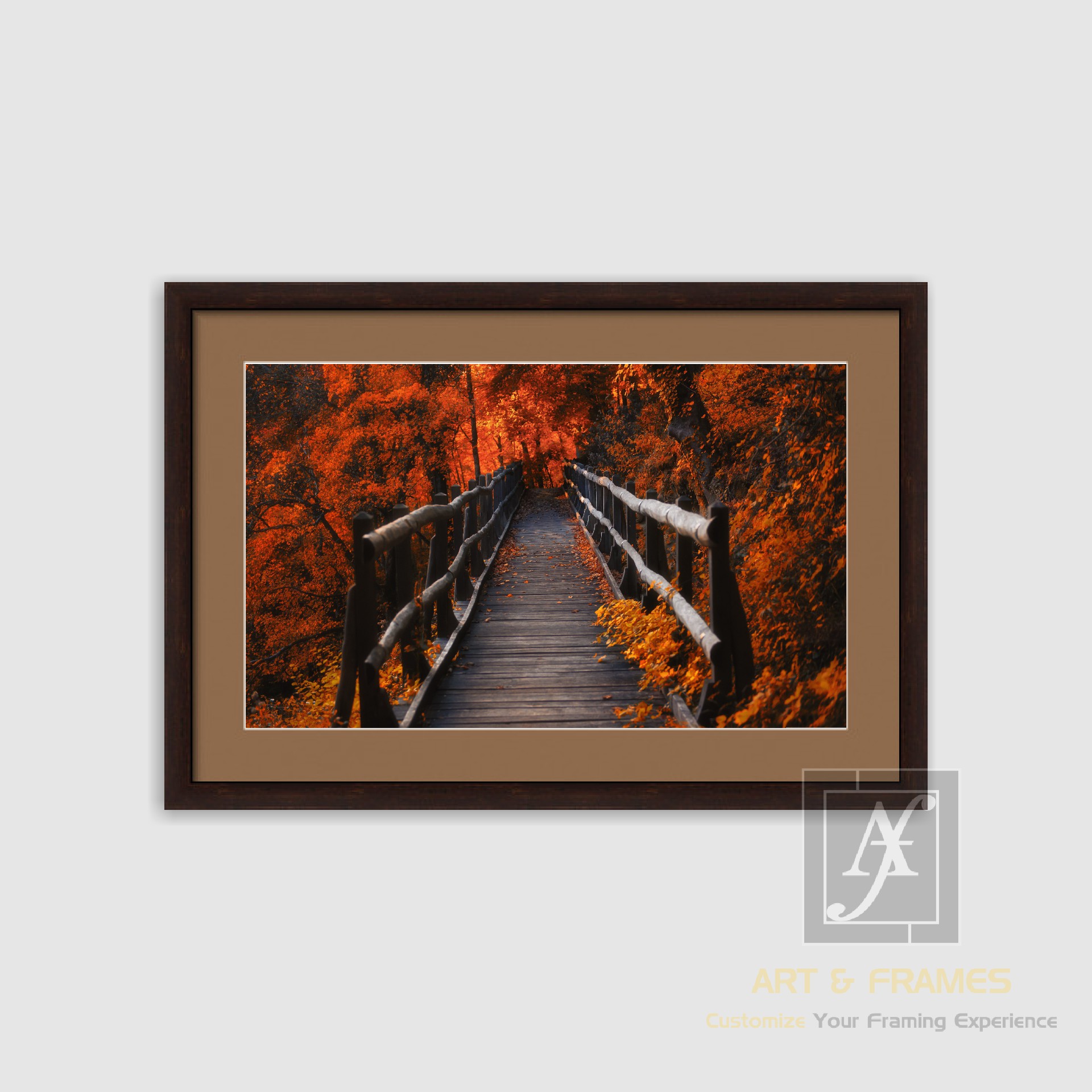 NATURE - AUTUMN SEASON COLLECTION (7)