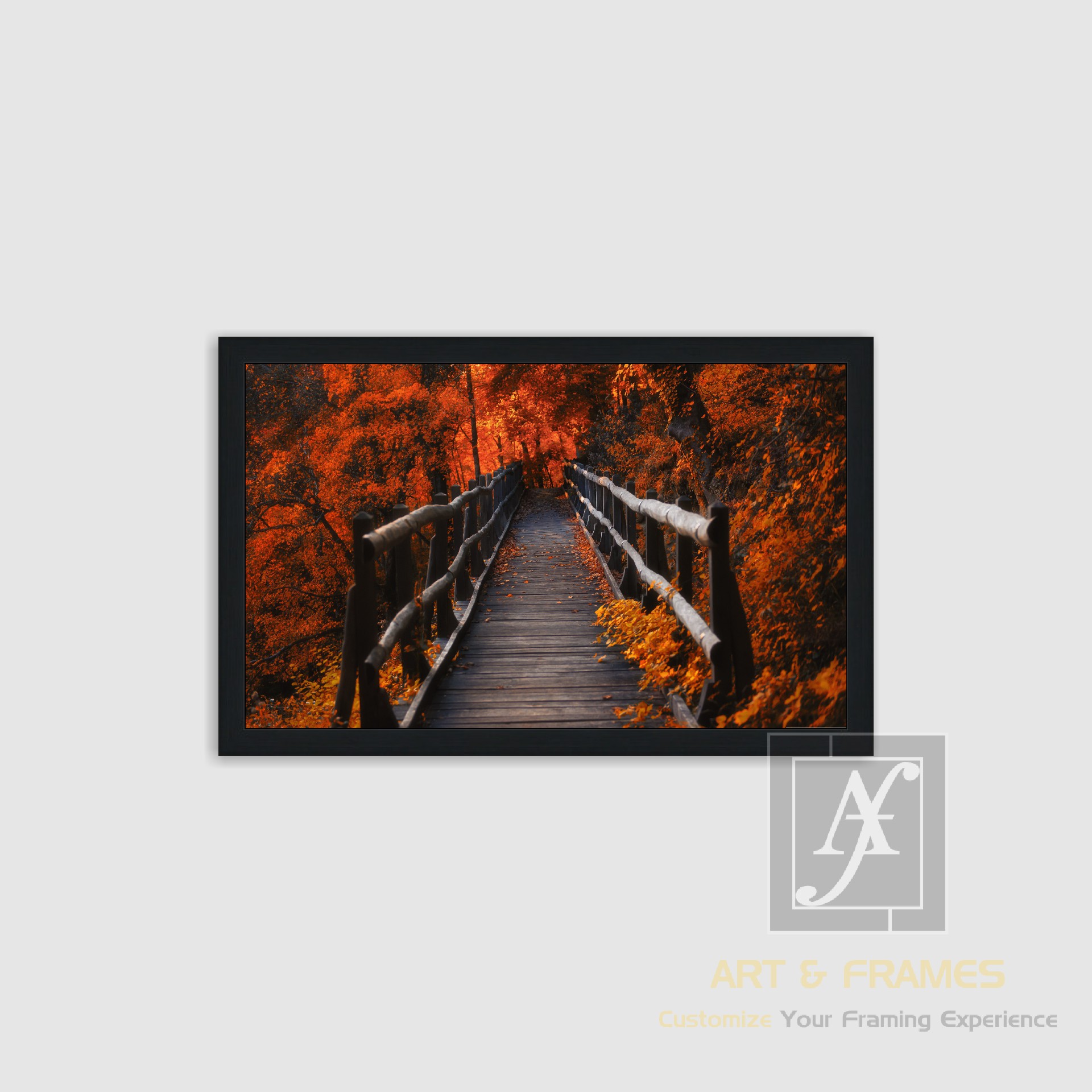 NATURE - AUTUMN SEASON COLLECTION (7)