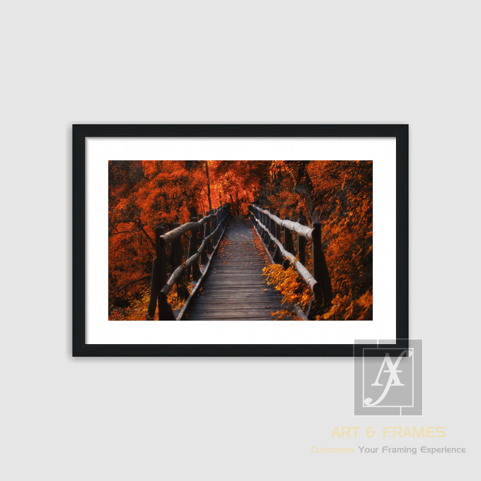 NATURE - AUTUMN SEASON COLLECTION (7)