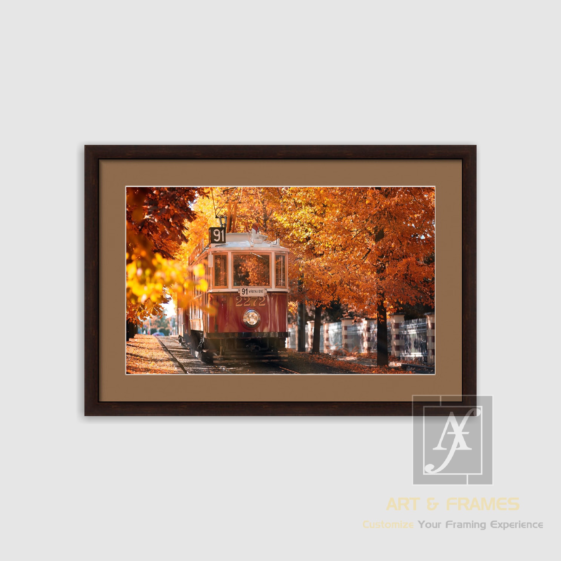 NATURE - AUTUMN SEASON COLLECTION (8)