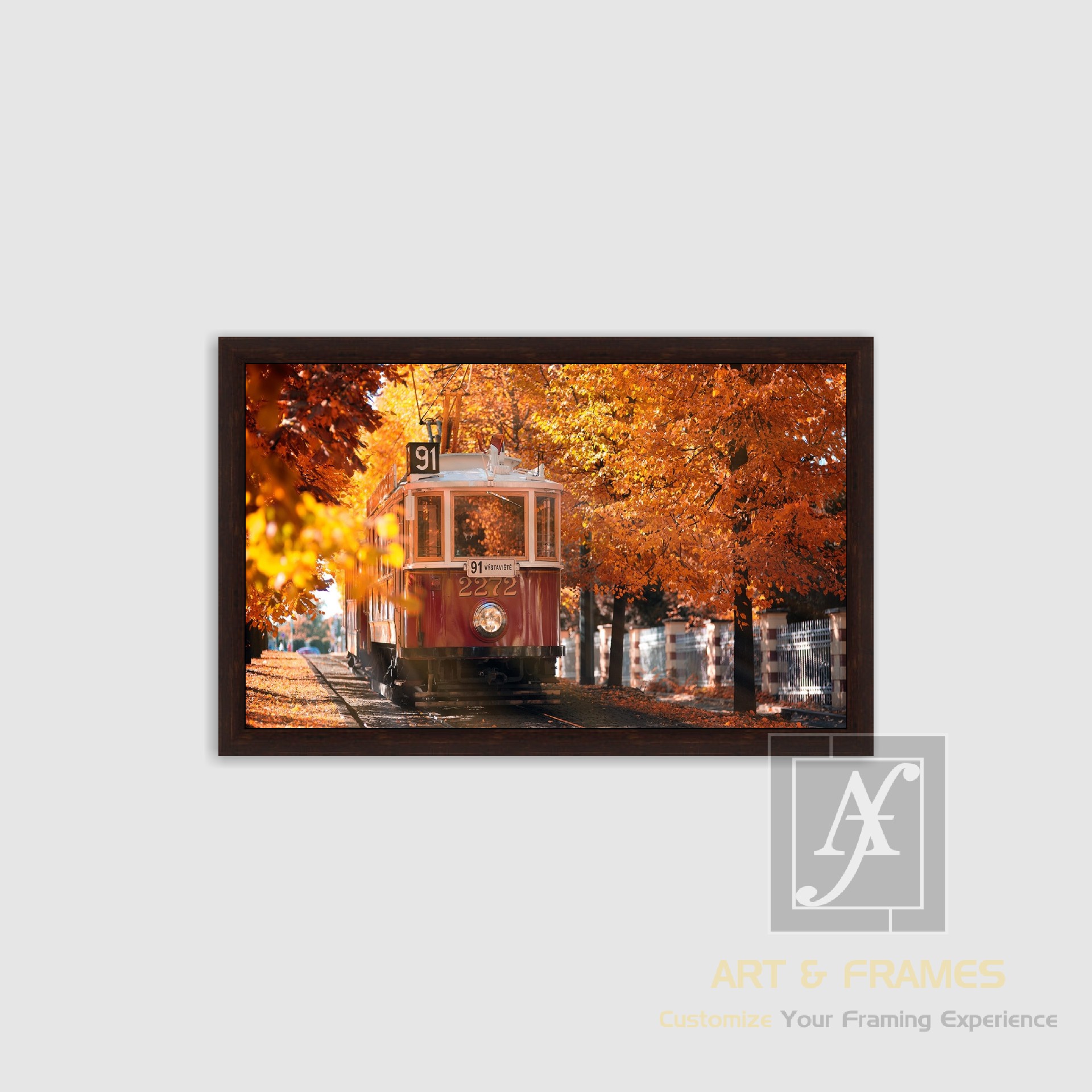 NATURE - AUTUMN SEASON COLLECTION (8)