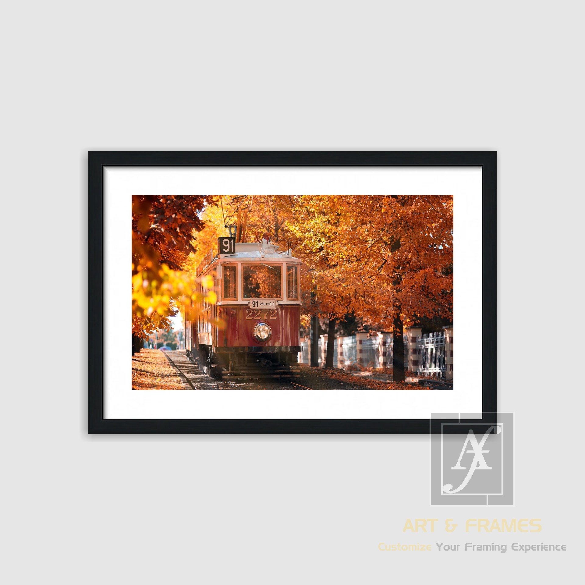 NATURE - AUTUMN SEASON COLLECTION (8)