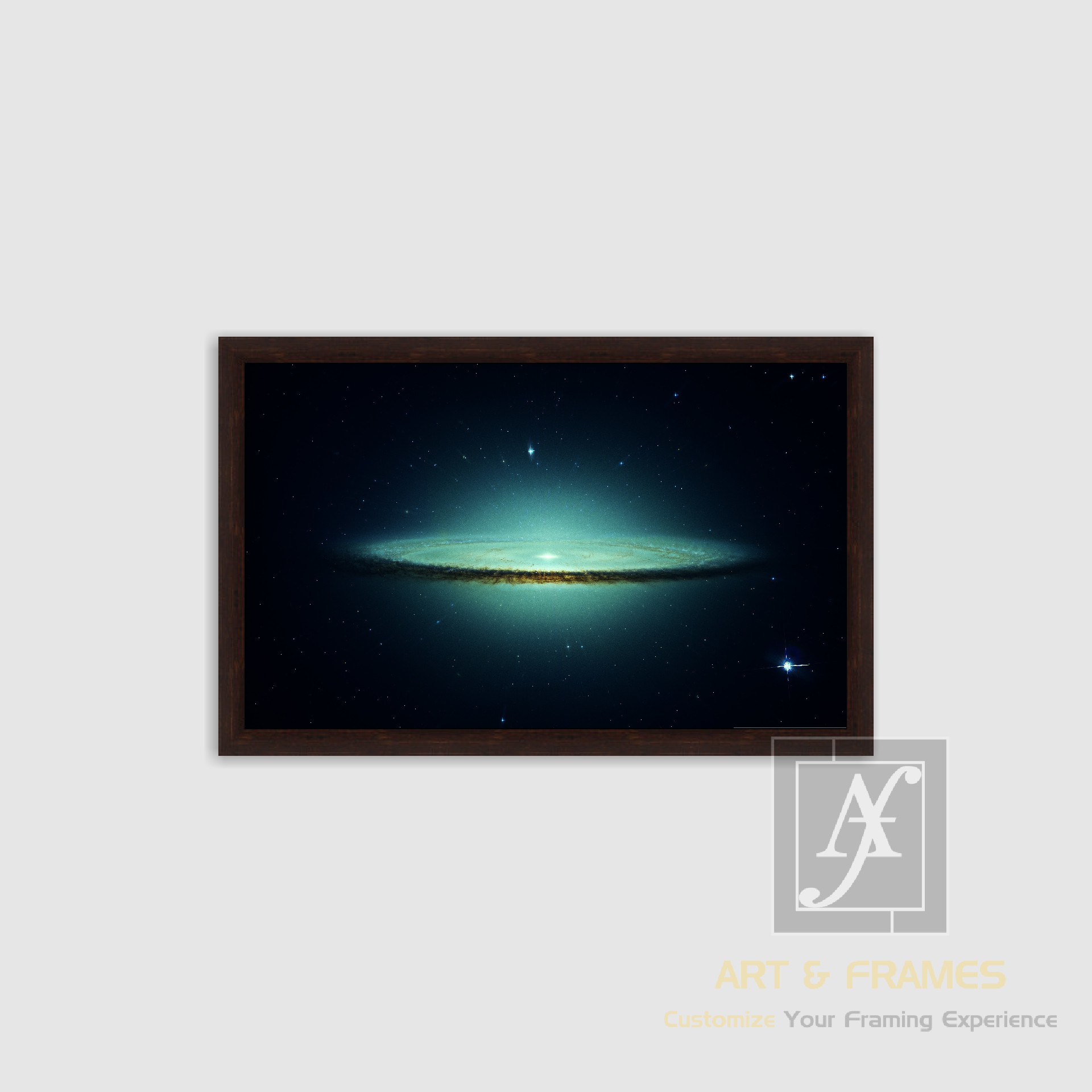 NATURE SPACE PHOTOGRAPHY COLLECTION (10)