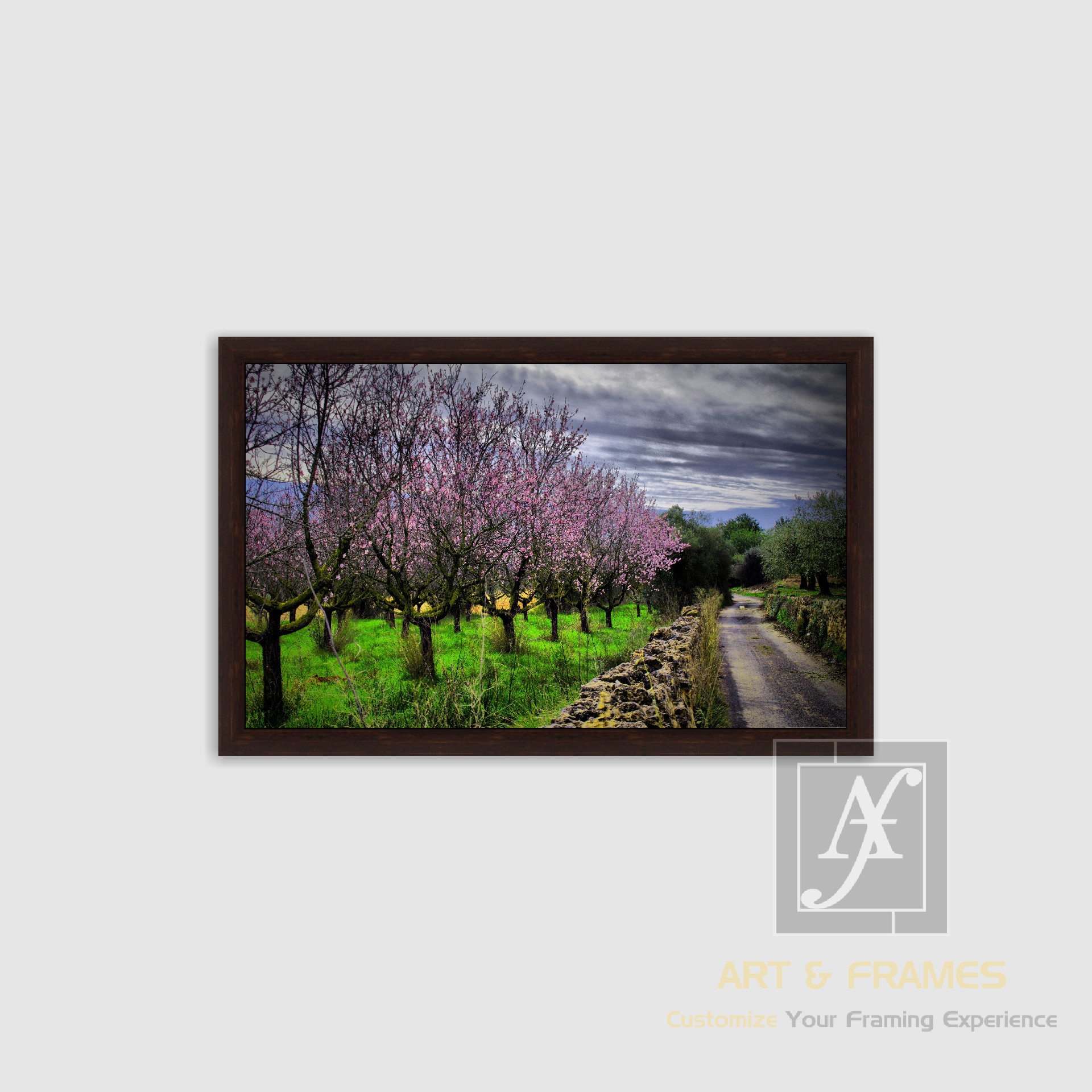 NATURE SPRING SEASON COLLECTION (1)