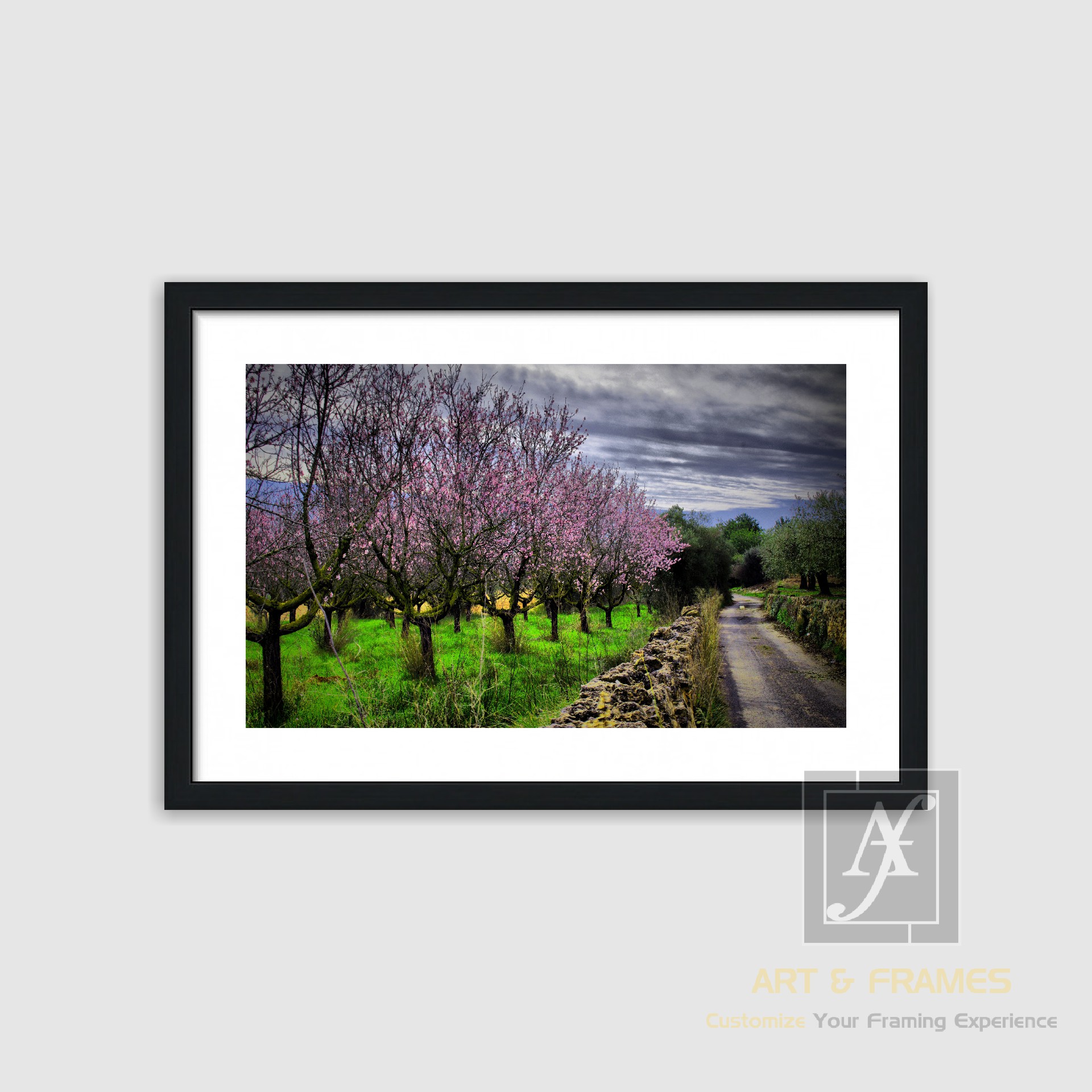 NATURE SPRING SEASON COLLECTION (1)