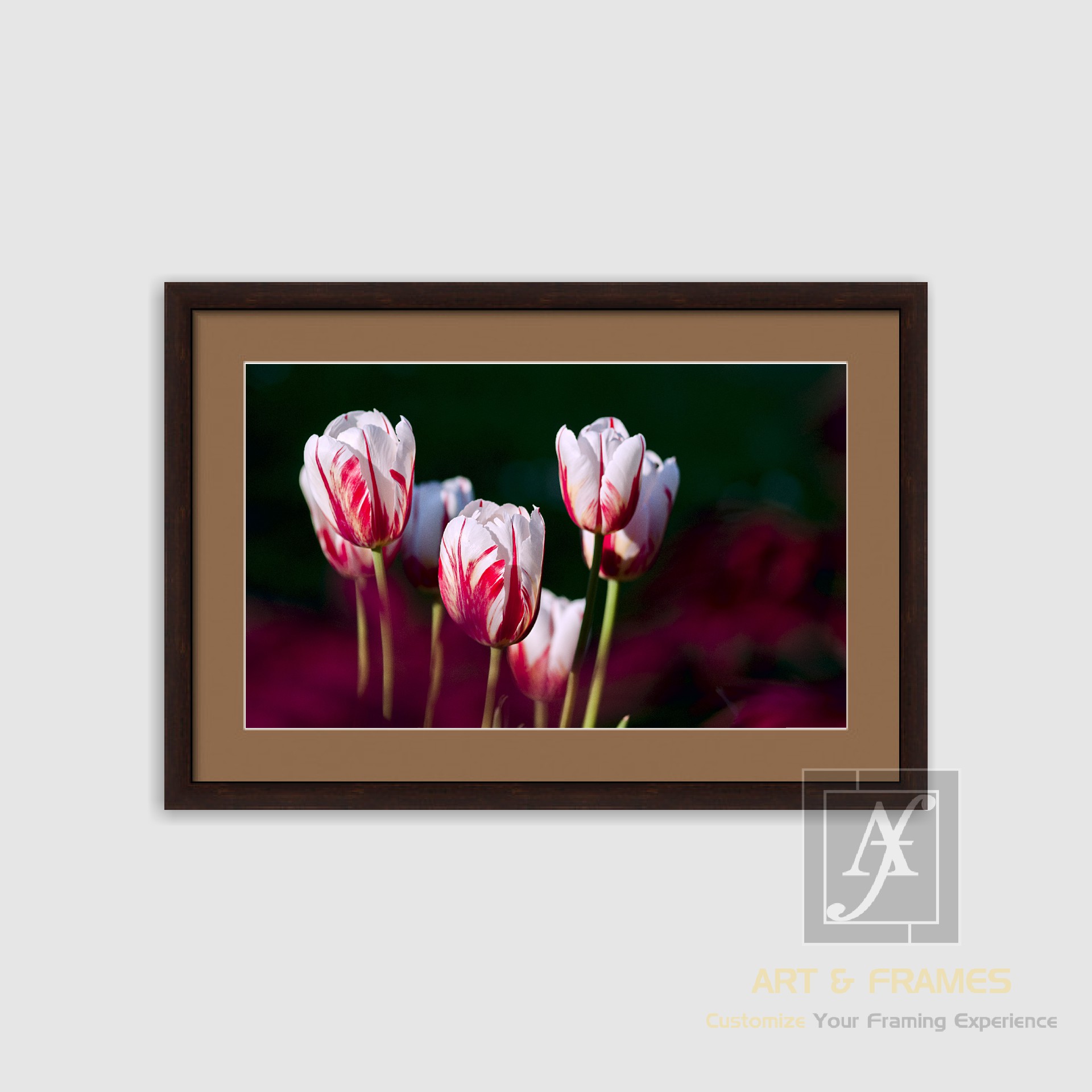 NATURE SPRING SEASON COLLECTION (3)