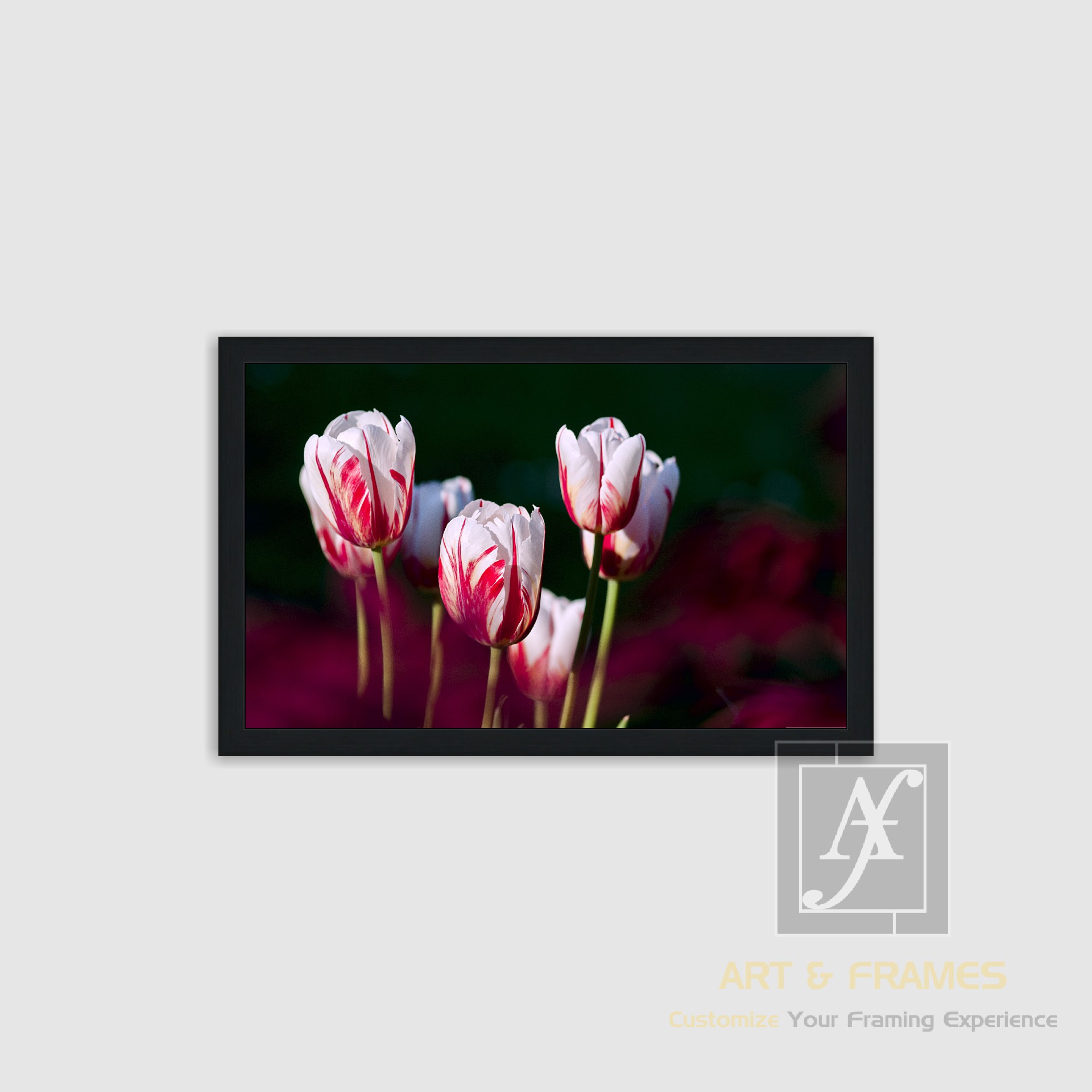 NATURE SPRING SEASON COLLECTION (3)