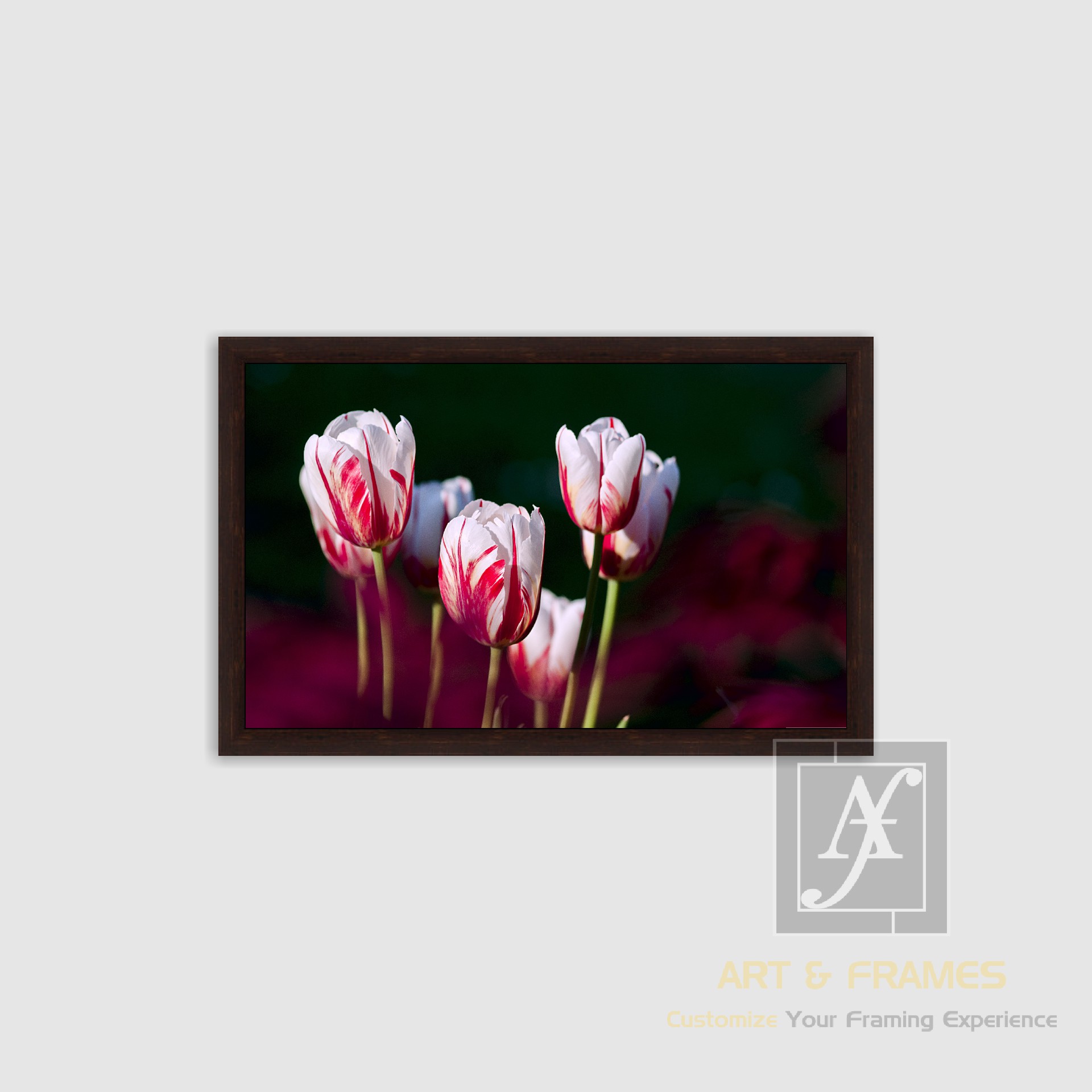 NATURE SPRING SEASON COLLECTION (3)