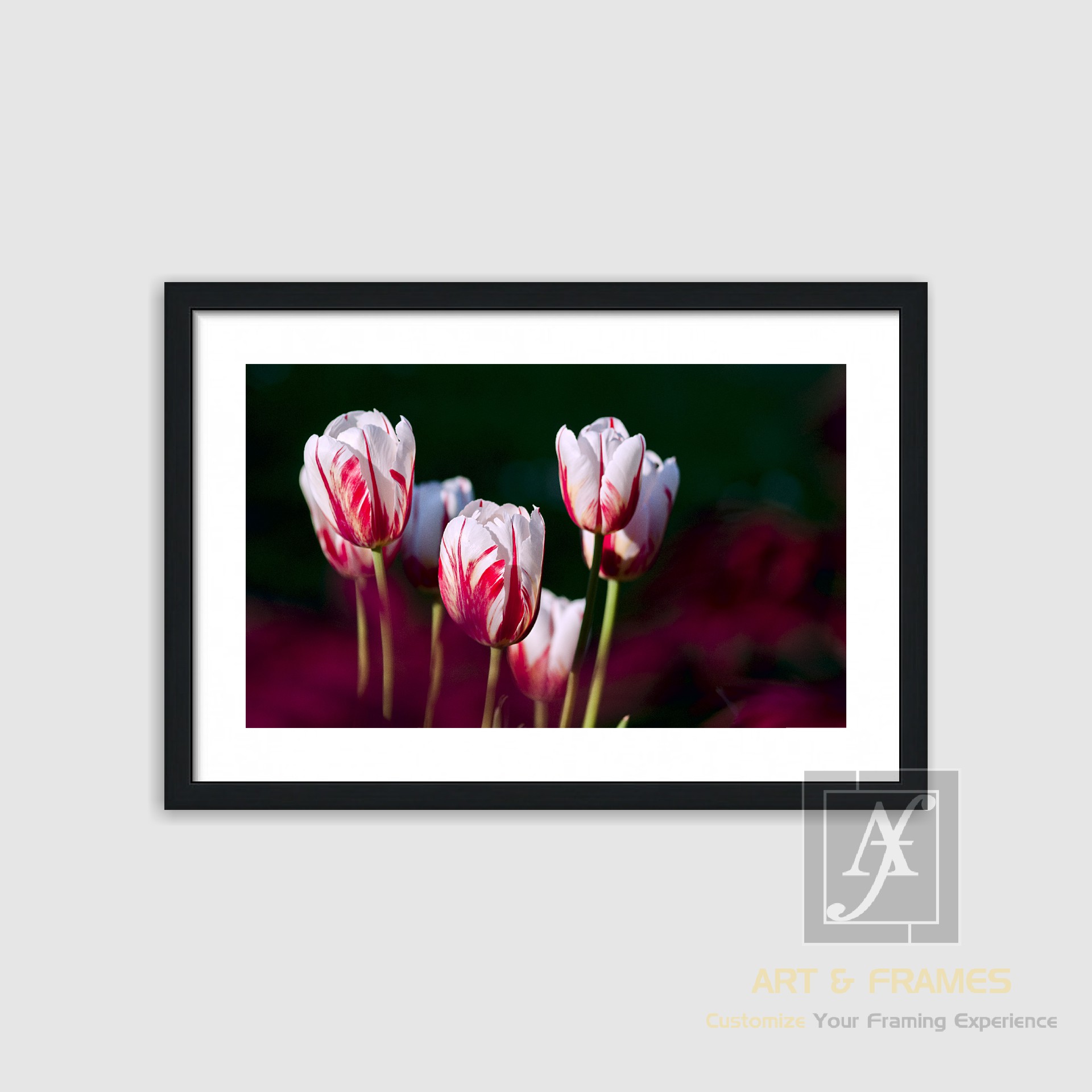 NATURE SPRING SEASON COLLECTION (3)