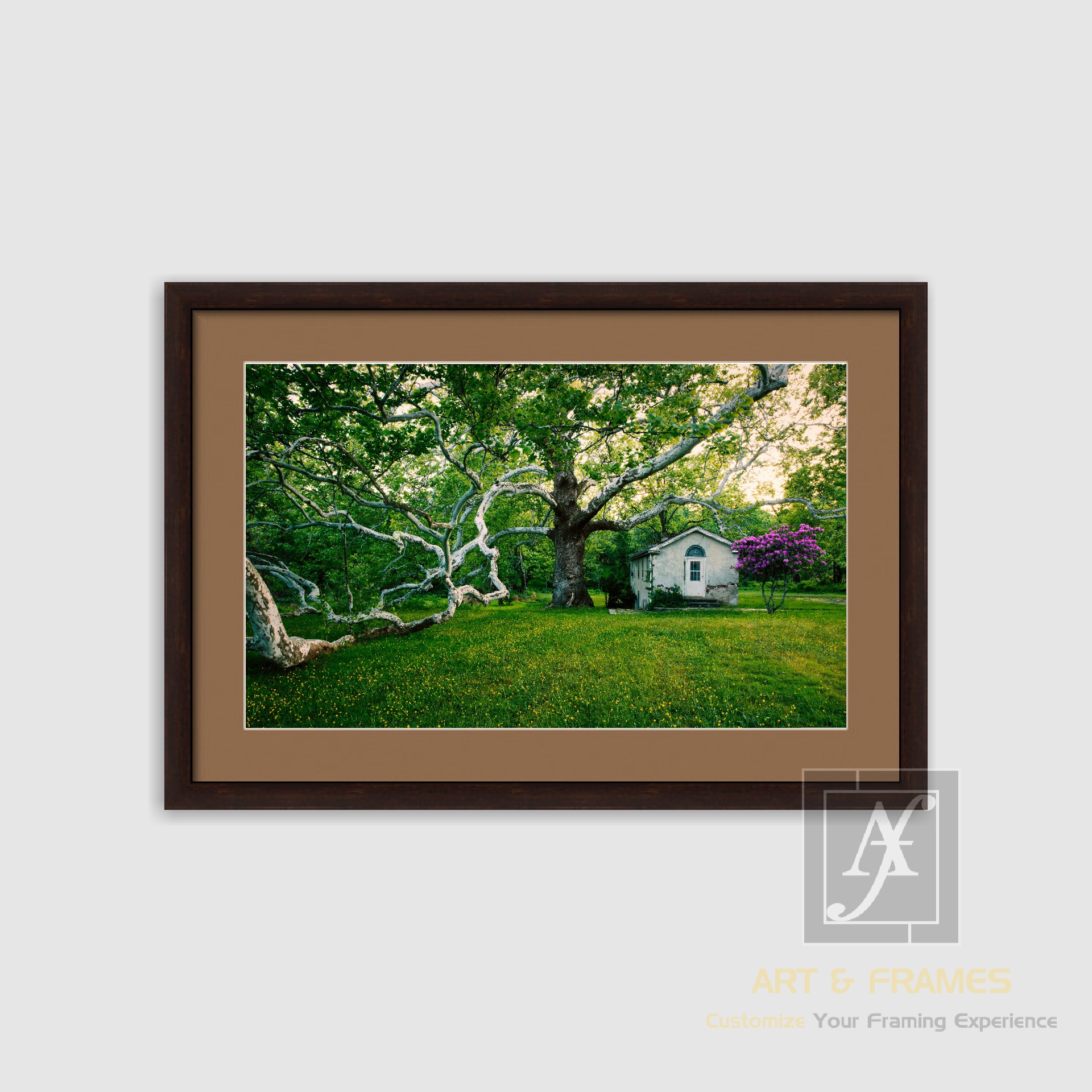 NATURE SPRING SEASON COLLECTION (4)