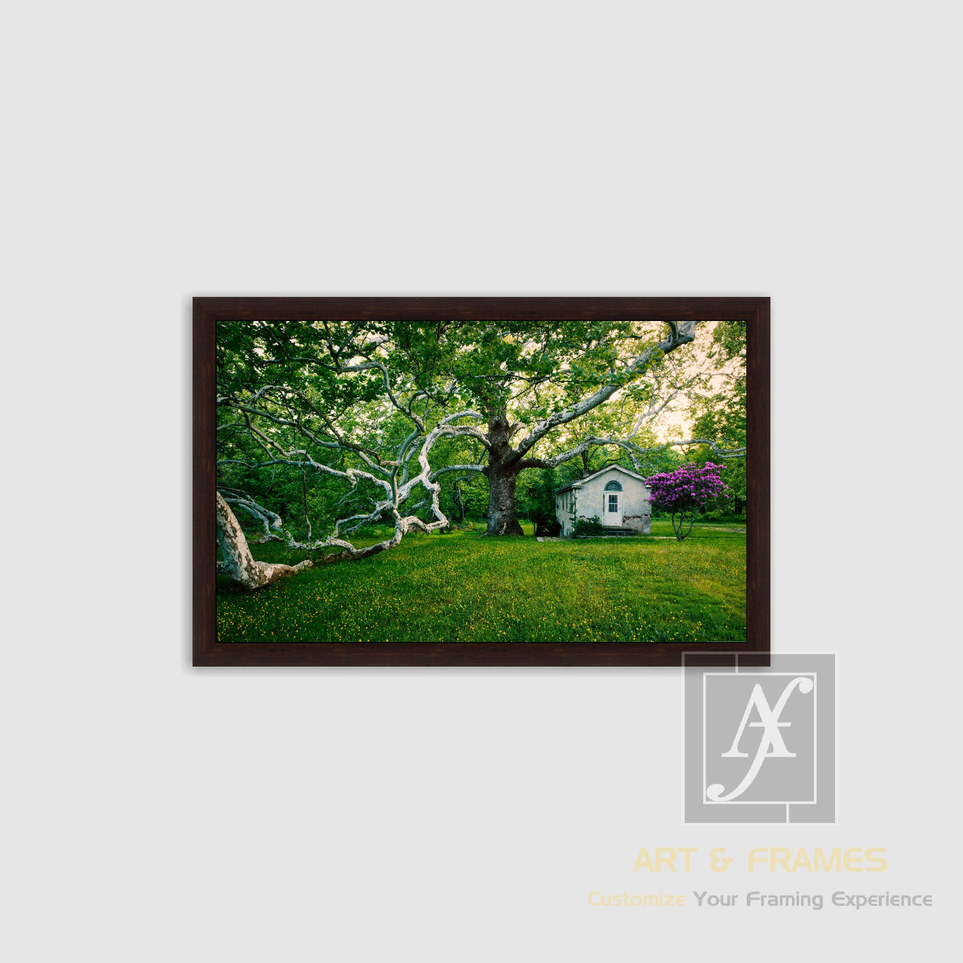 NATURE SPRING SEASON COLLECTION (4)