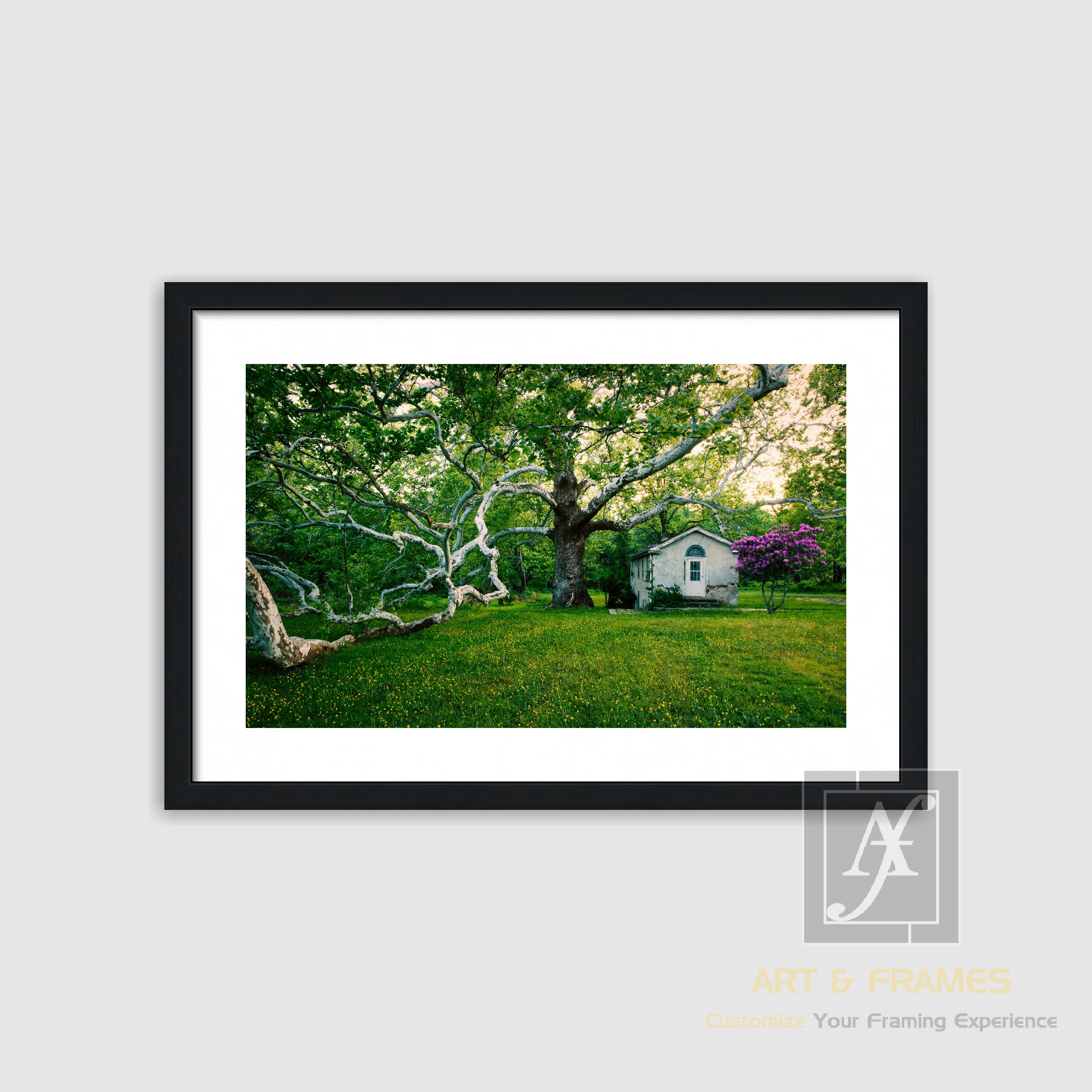 NATURE SPRING SEASON COLLECTION (4)