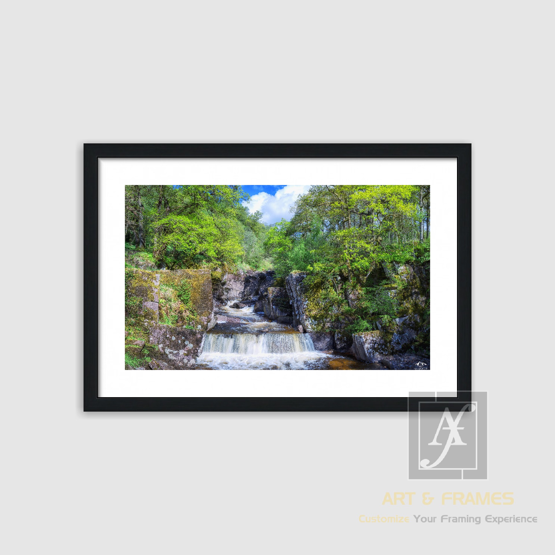 NATURE SPRING SEASON COLLECTION (5)