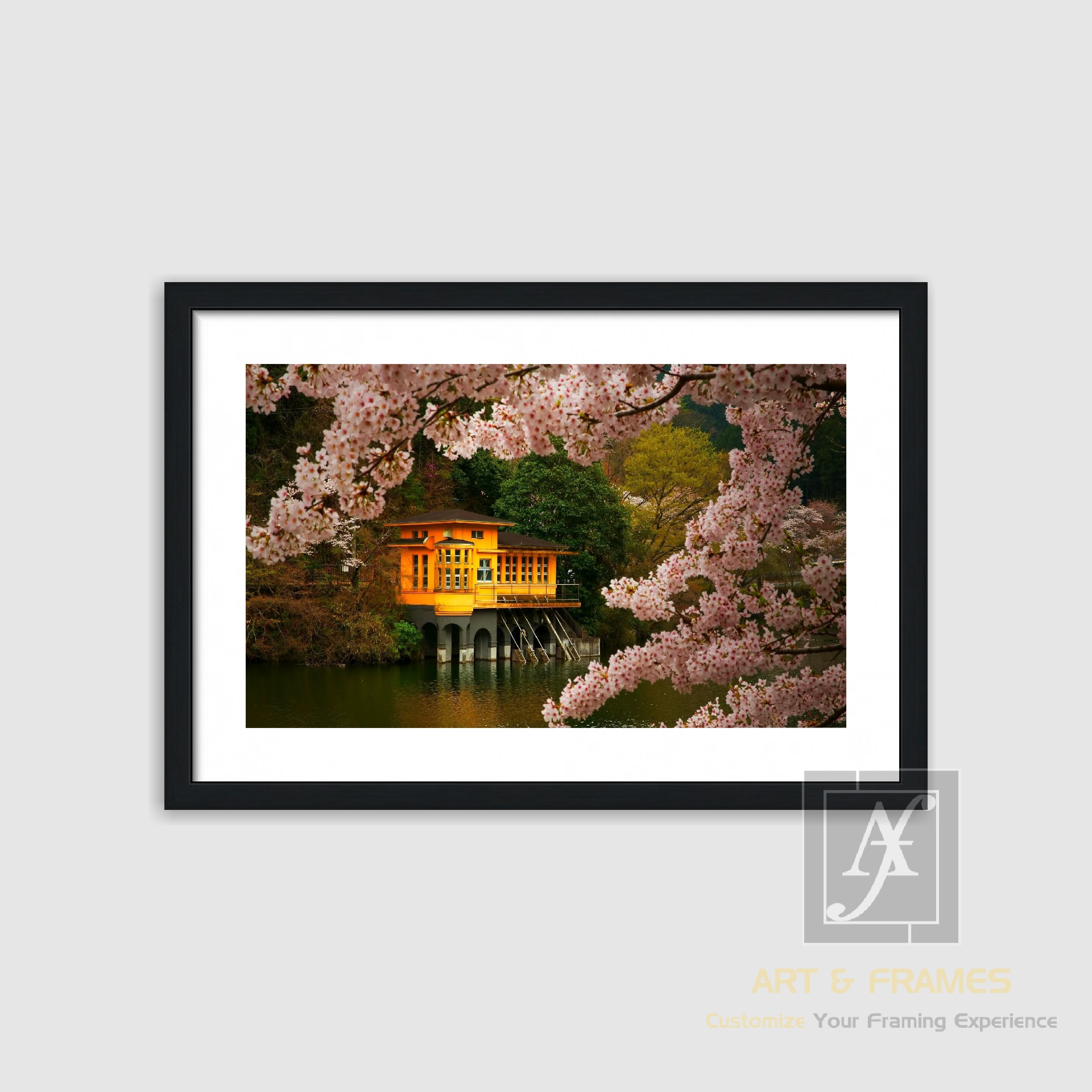 NATURE SPRING SEASON COLLECTION (7)