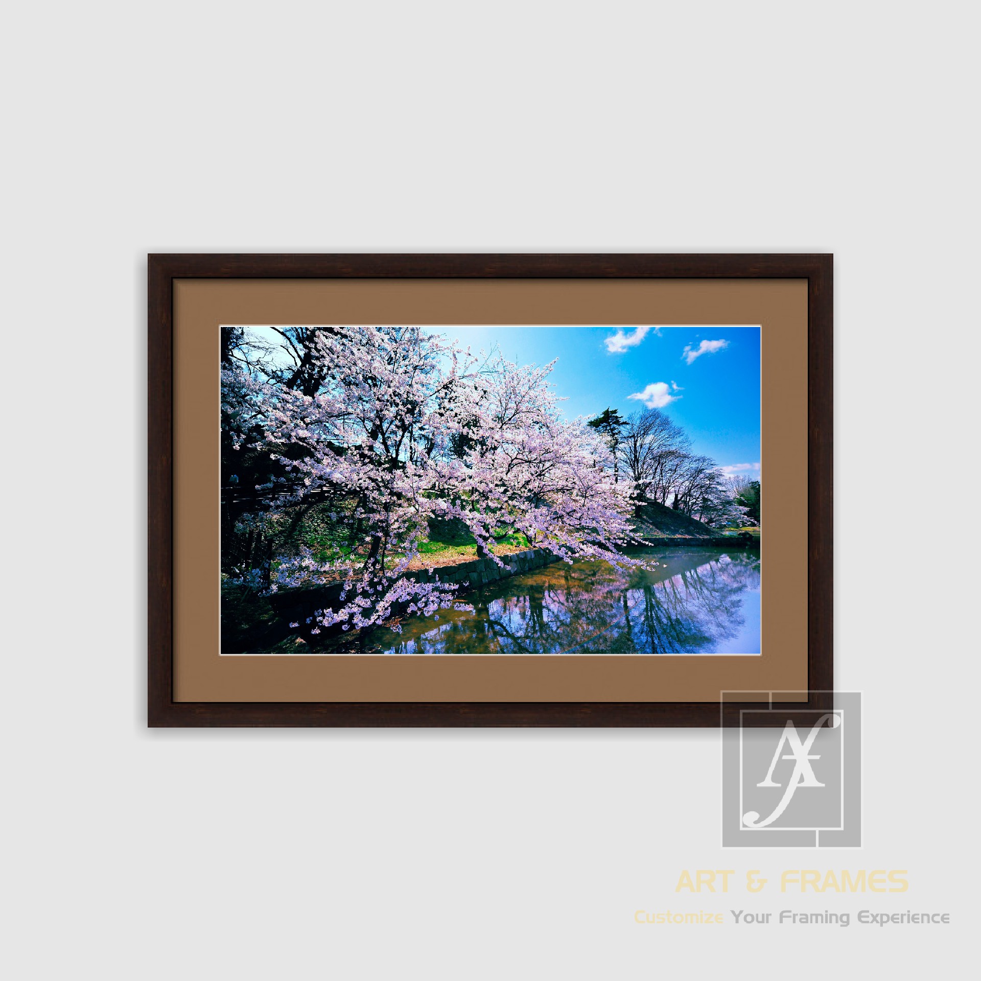 NATURE SPRING SEASON COLLECTION (8)